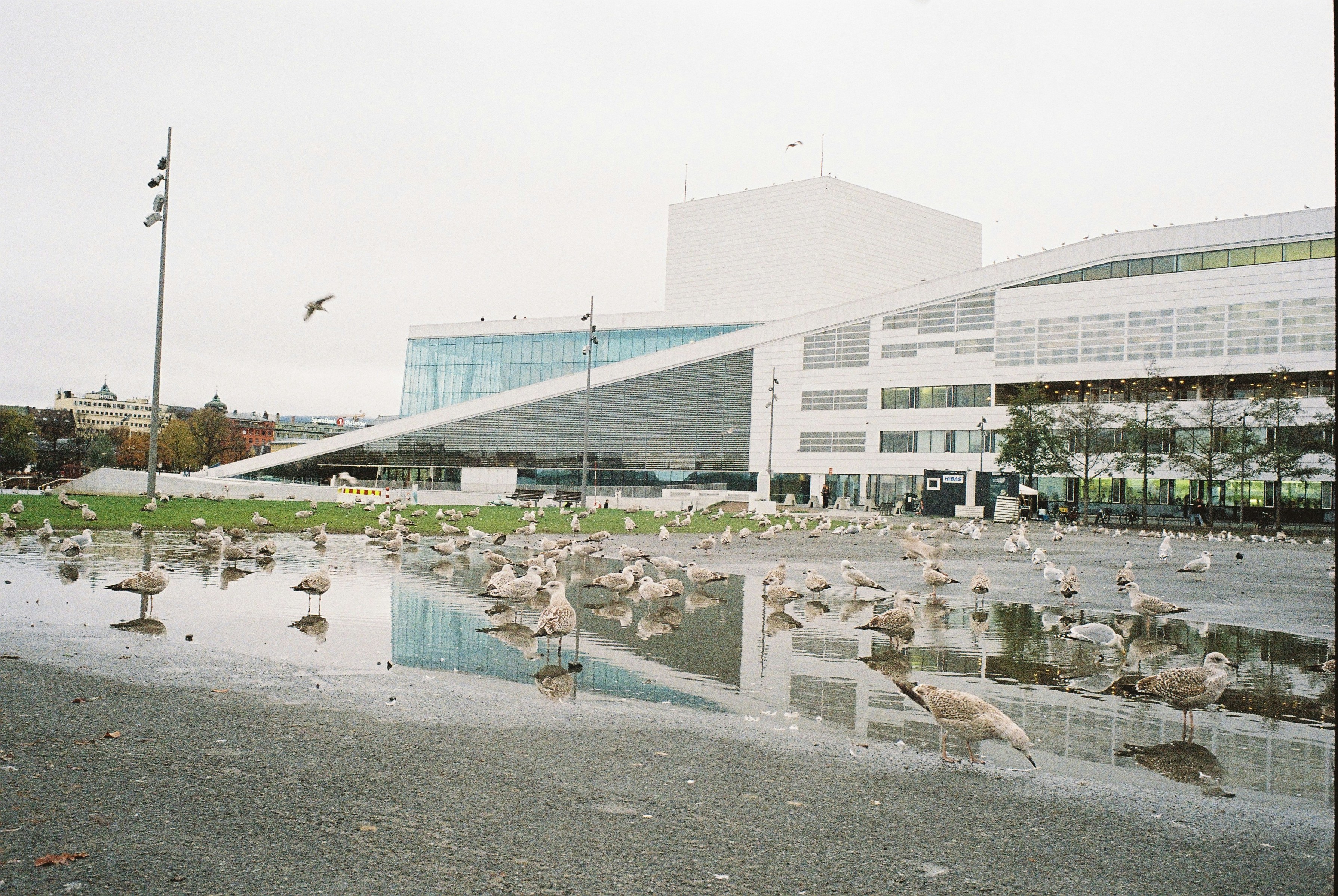 Photo by notphotogenic