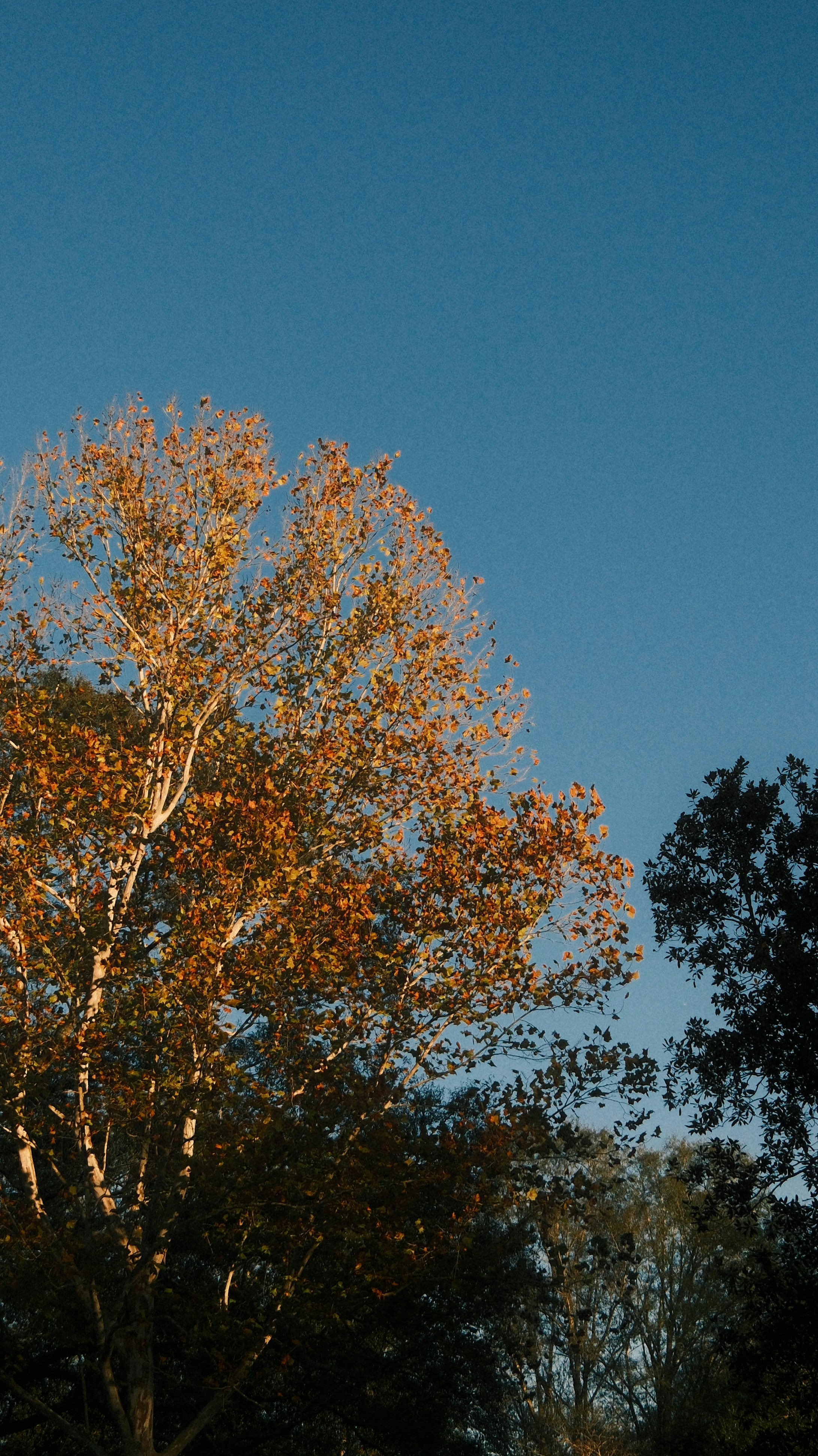 Photo by arsmoriendi