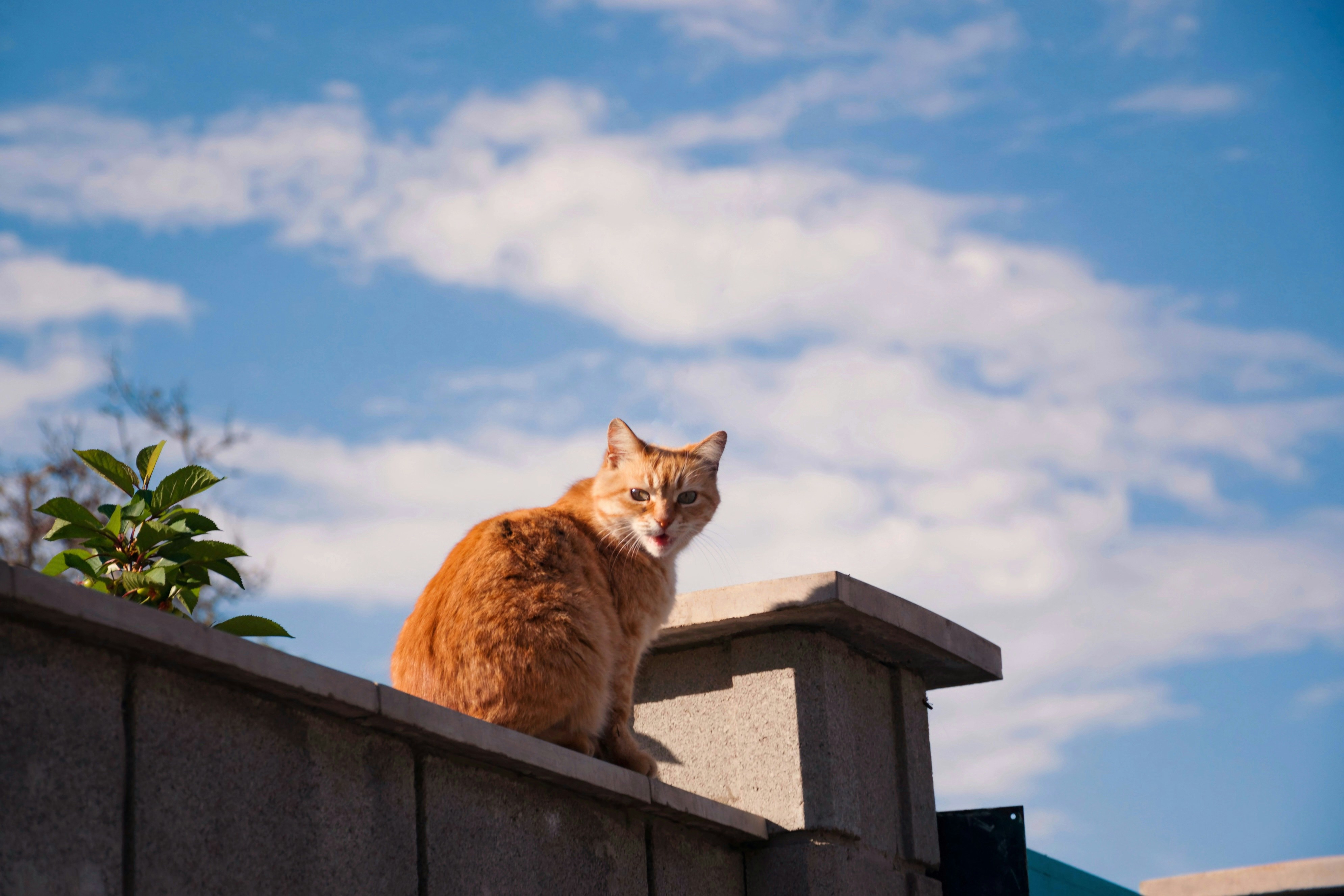 Photo by lvovandrewph