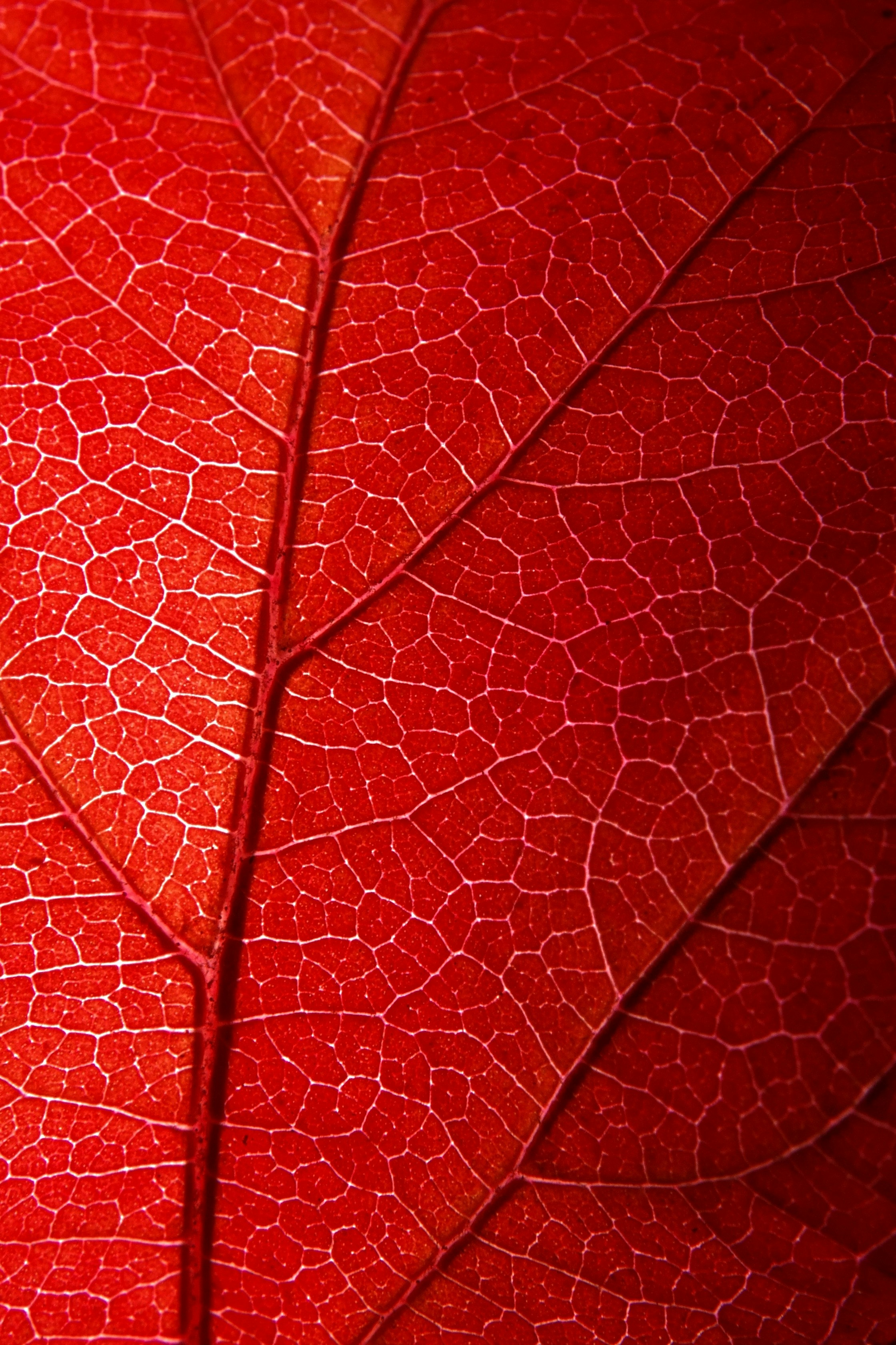 Photo by lvovandrewph