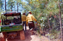 Two firefighters walk near a utility vehicle in a forest.