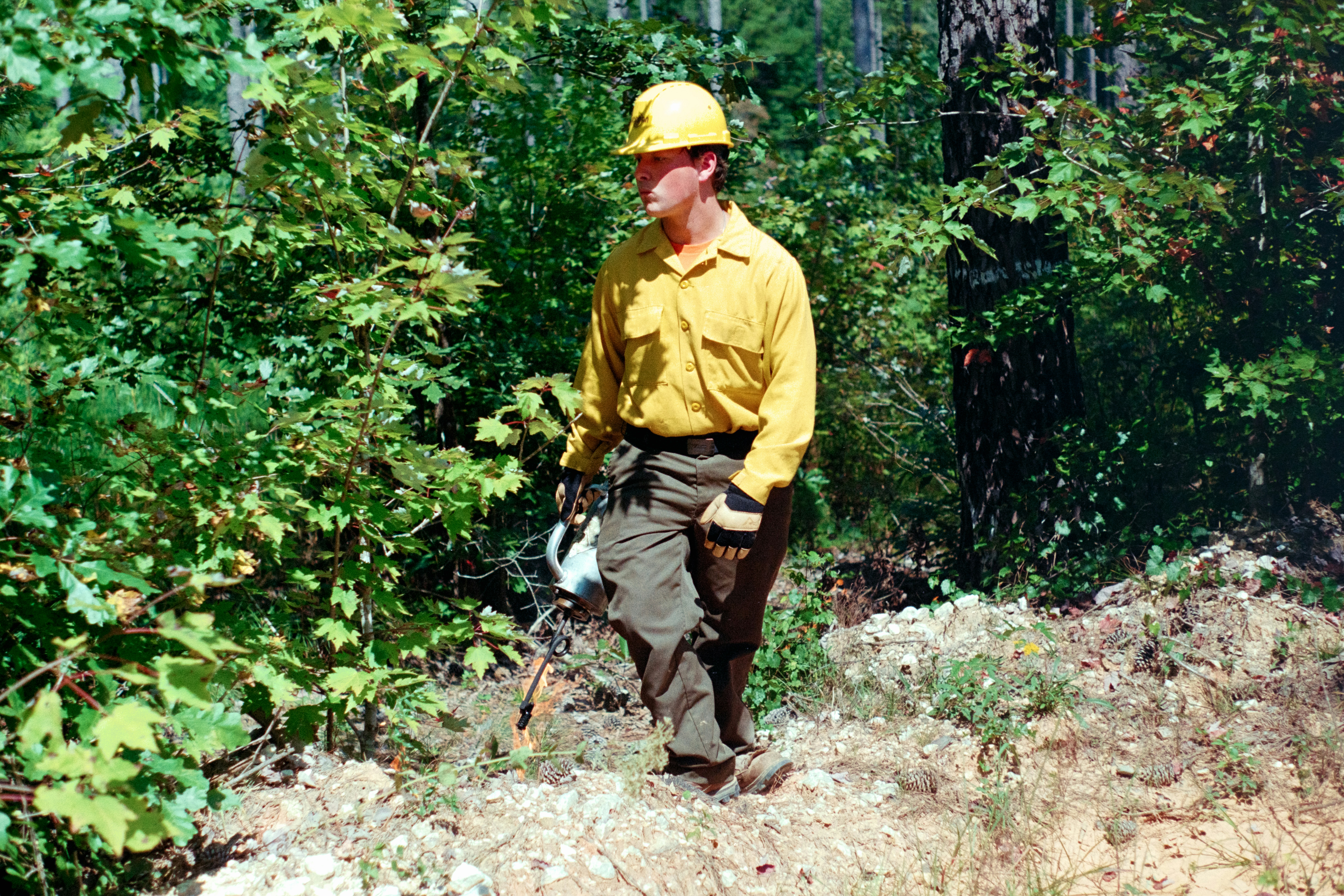 Man in yellow shirt and hard hat walks in forest.
