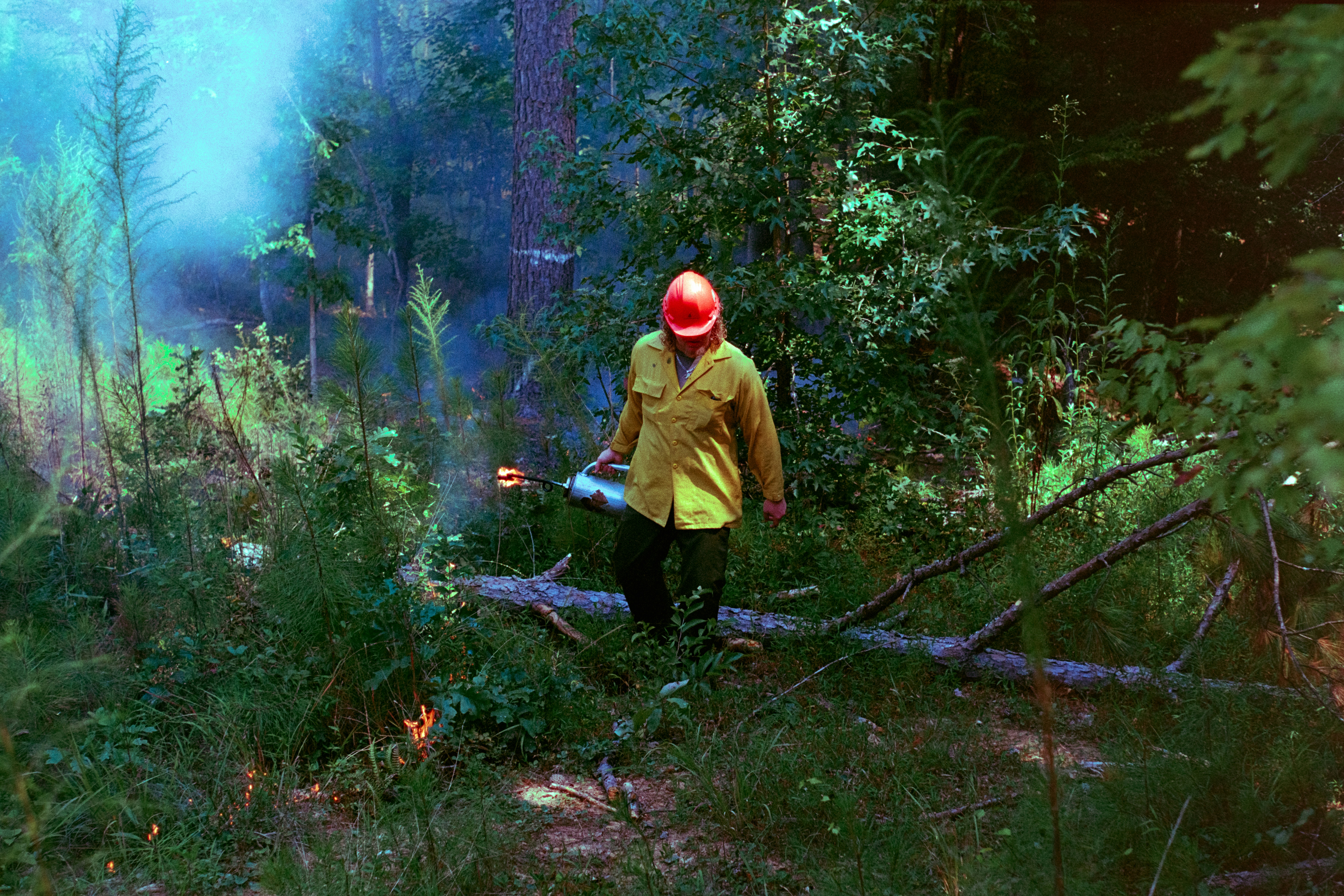 Preventing Pet Illness: Understanding Basic Health Strategies and Insurance Options