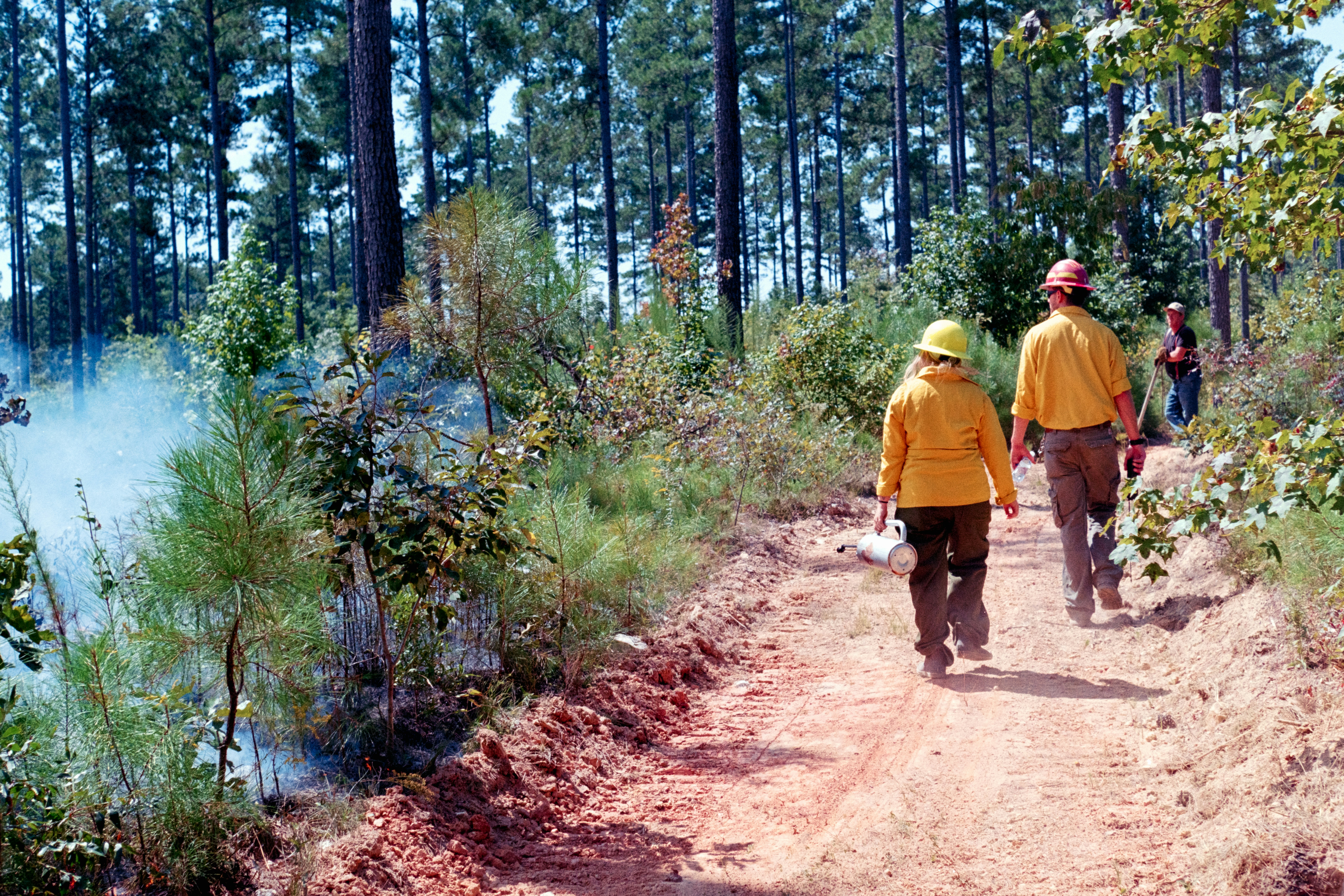Two people walk on a dirt path in a forest.