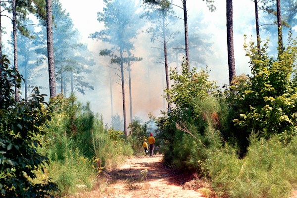 Environmental Management