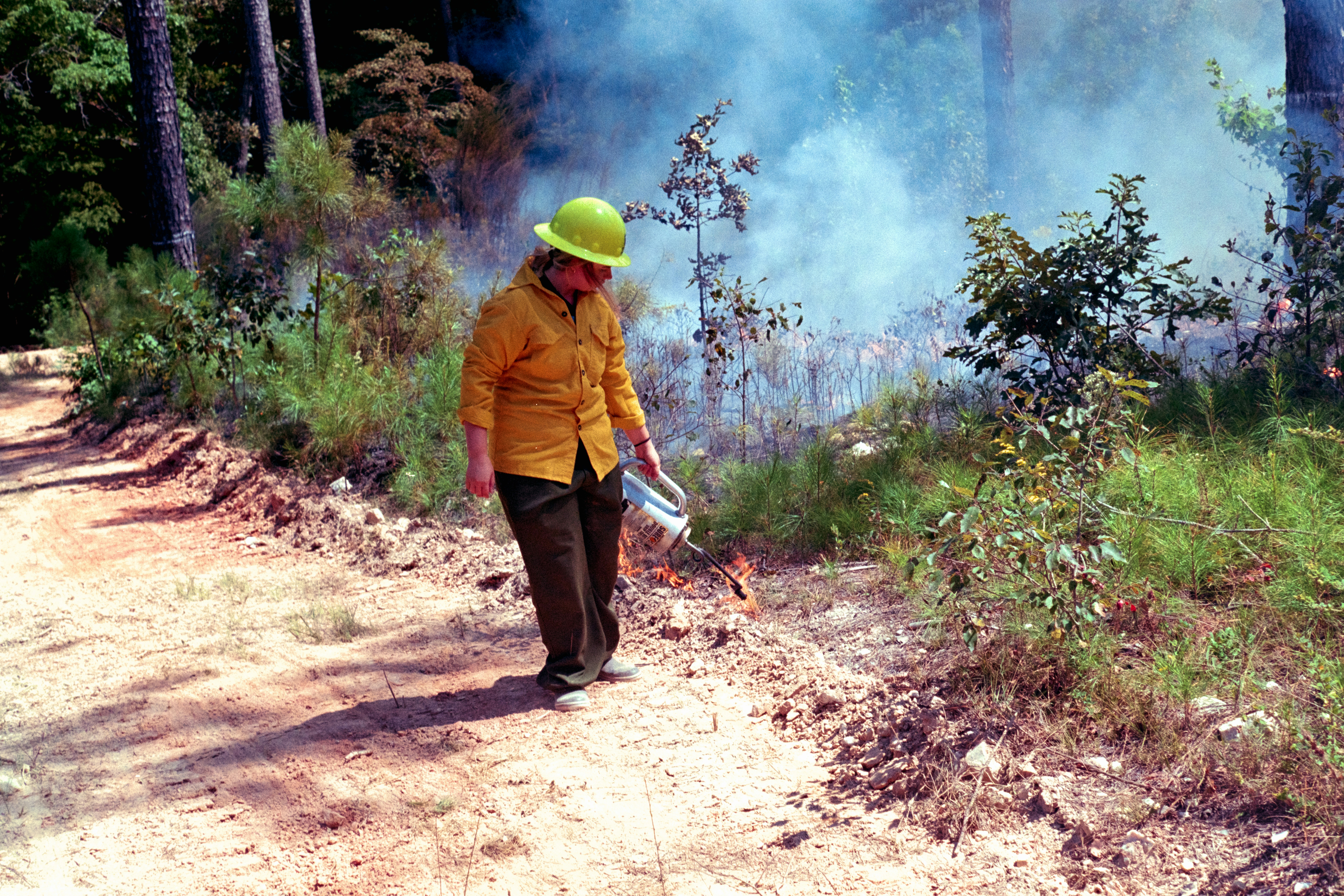 Persona con camiseta amarilla inicia un incendio forestal controlado