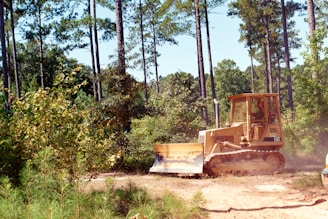 A bulldozer clearing brush in a wooded area