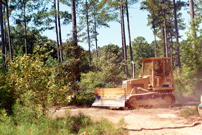 Before: A dozer working in a wooded lot