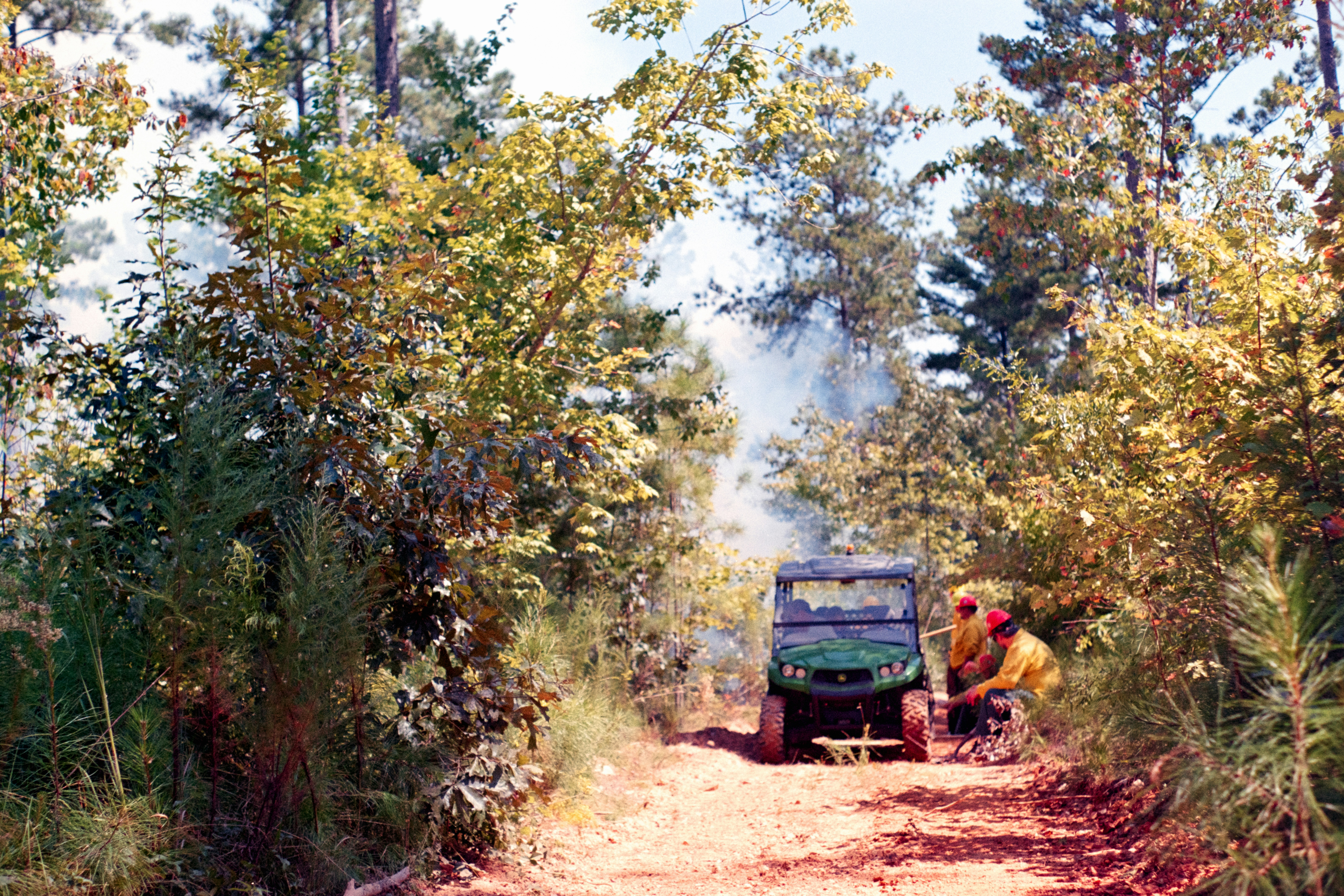 Photo by erikmorales