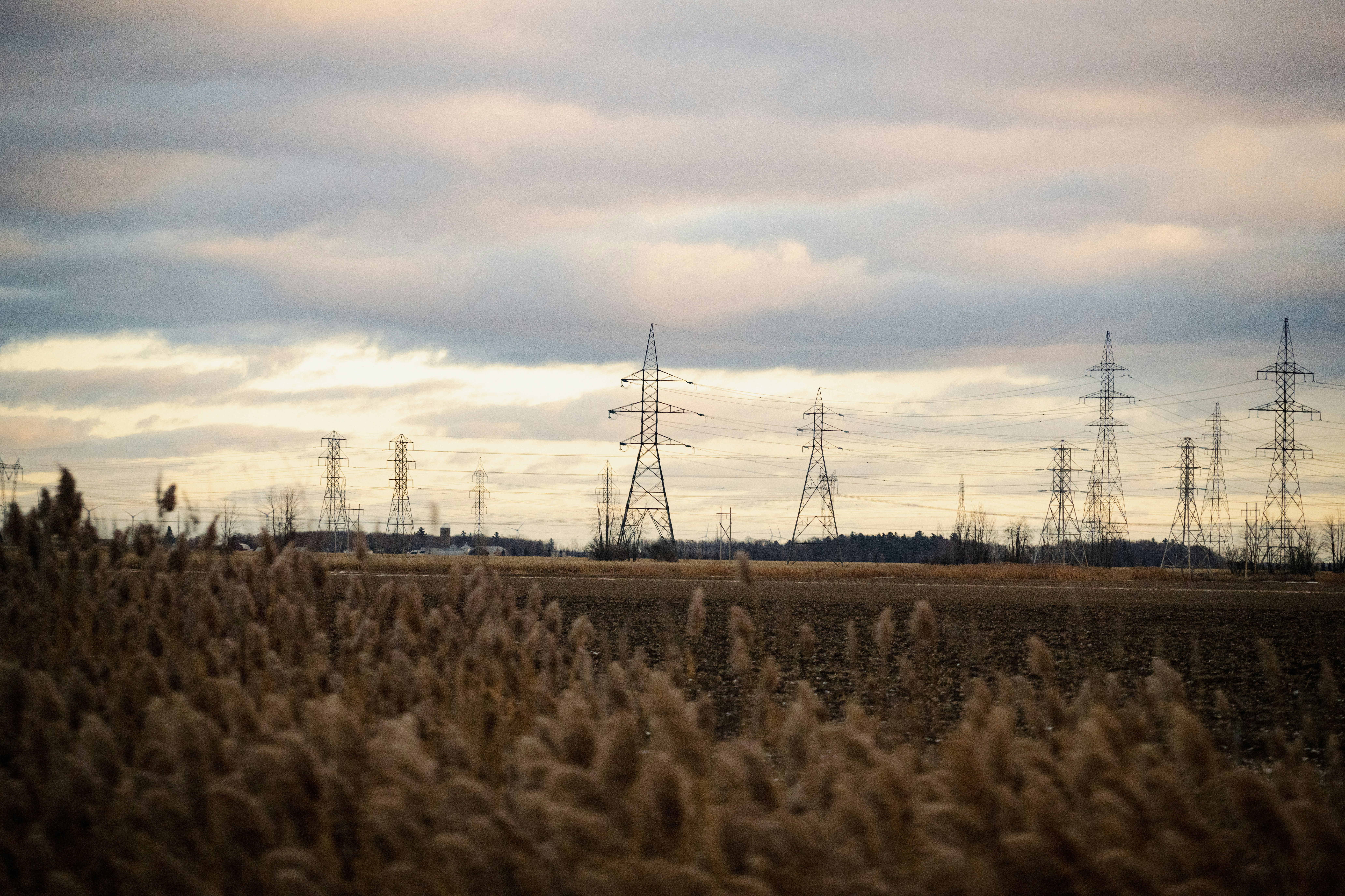 Photo by carterbilawchuk