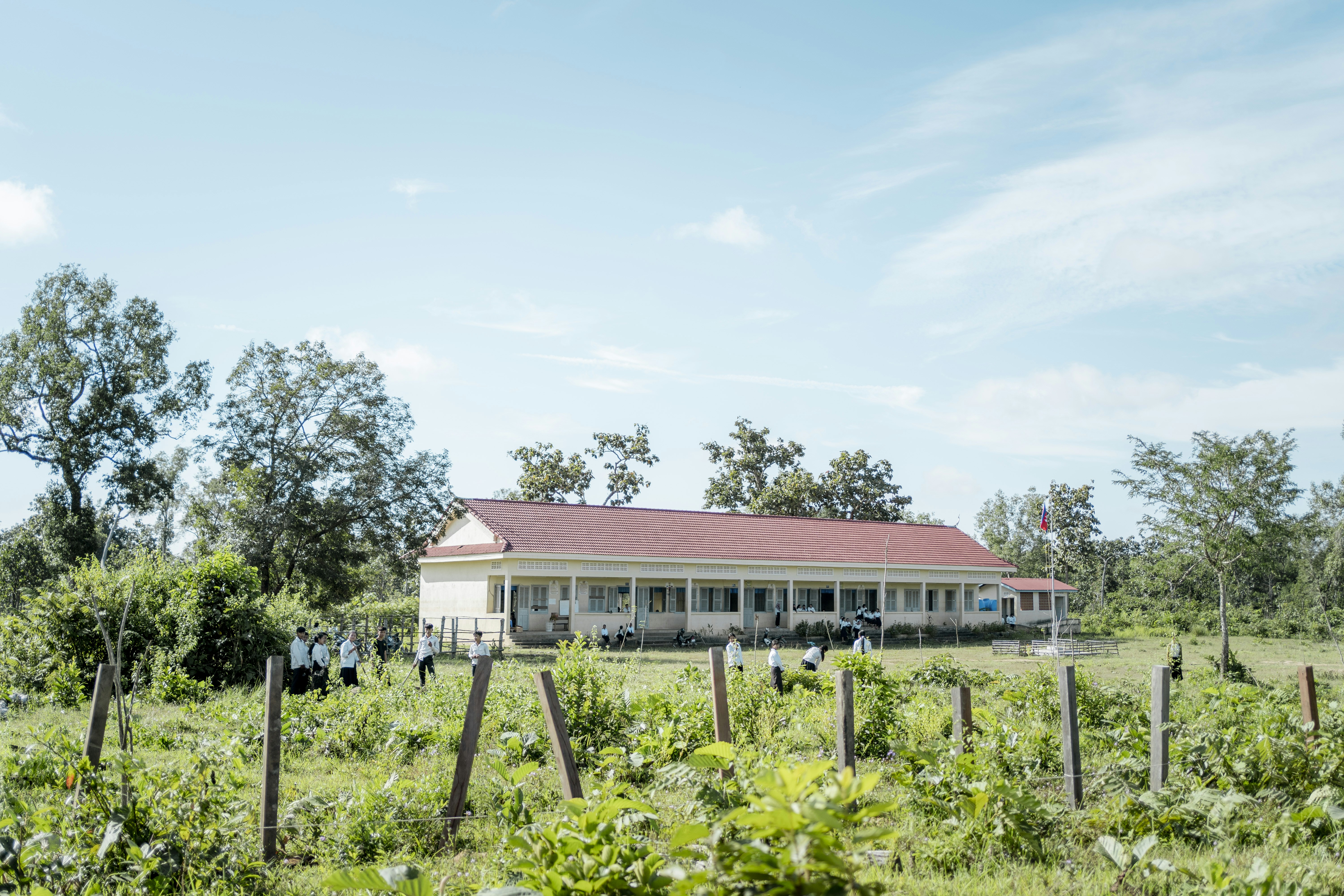 A school building surrounded by greenery under a blue sky