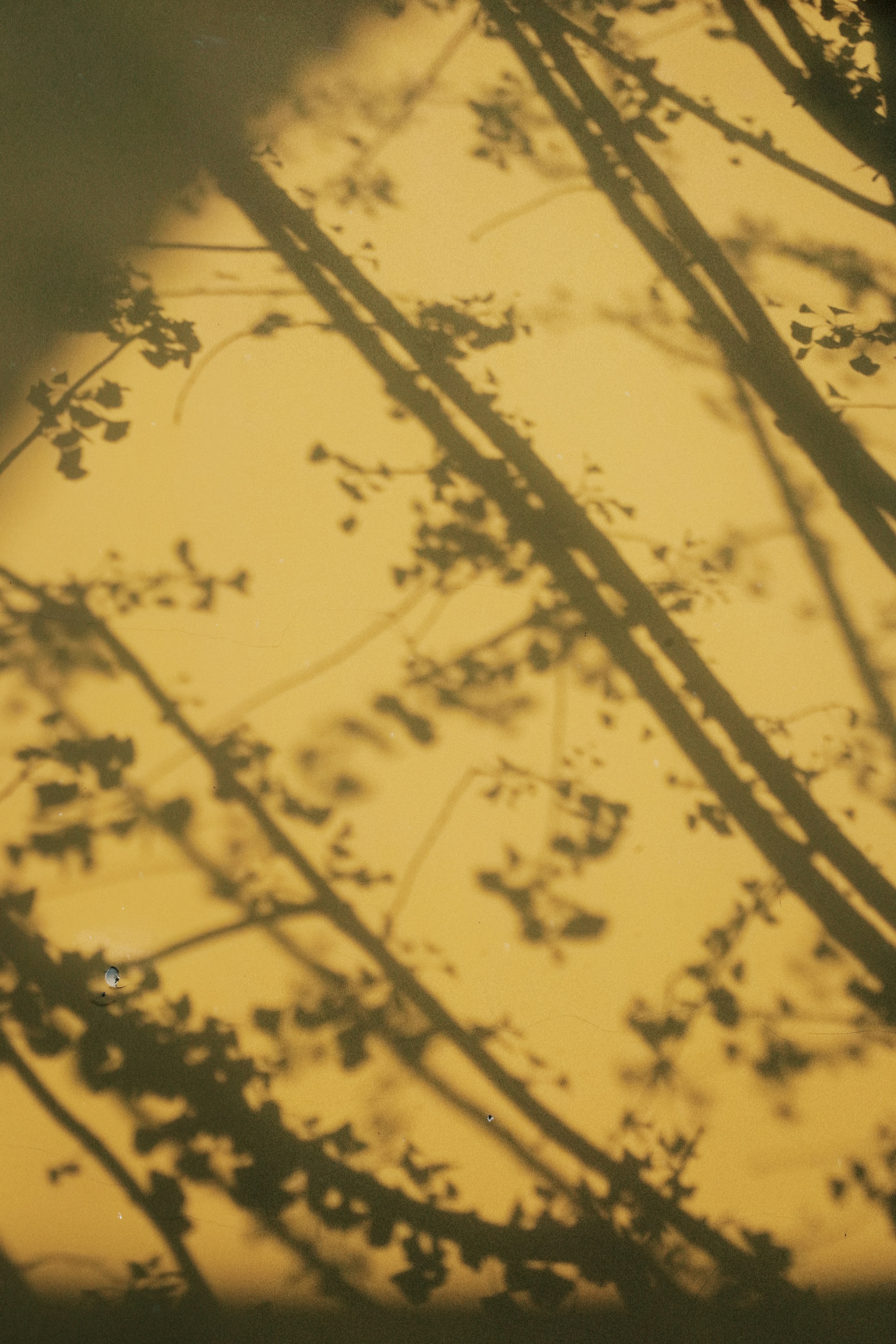 Photo by julianax_1204