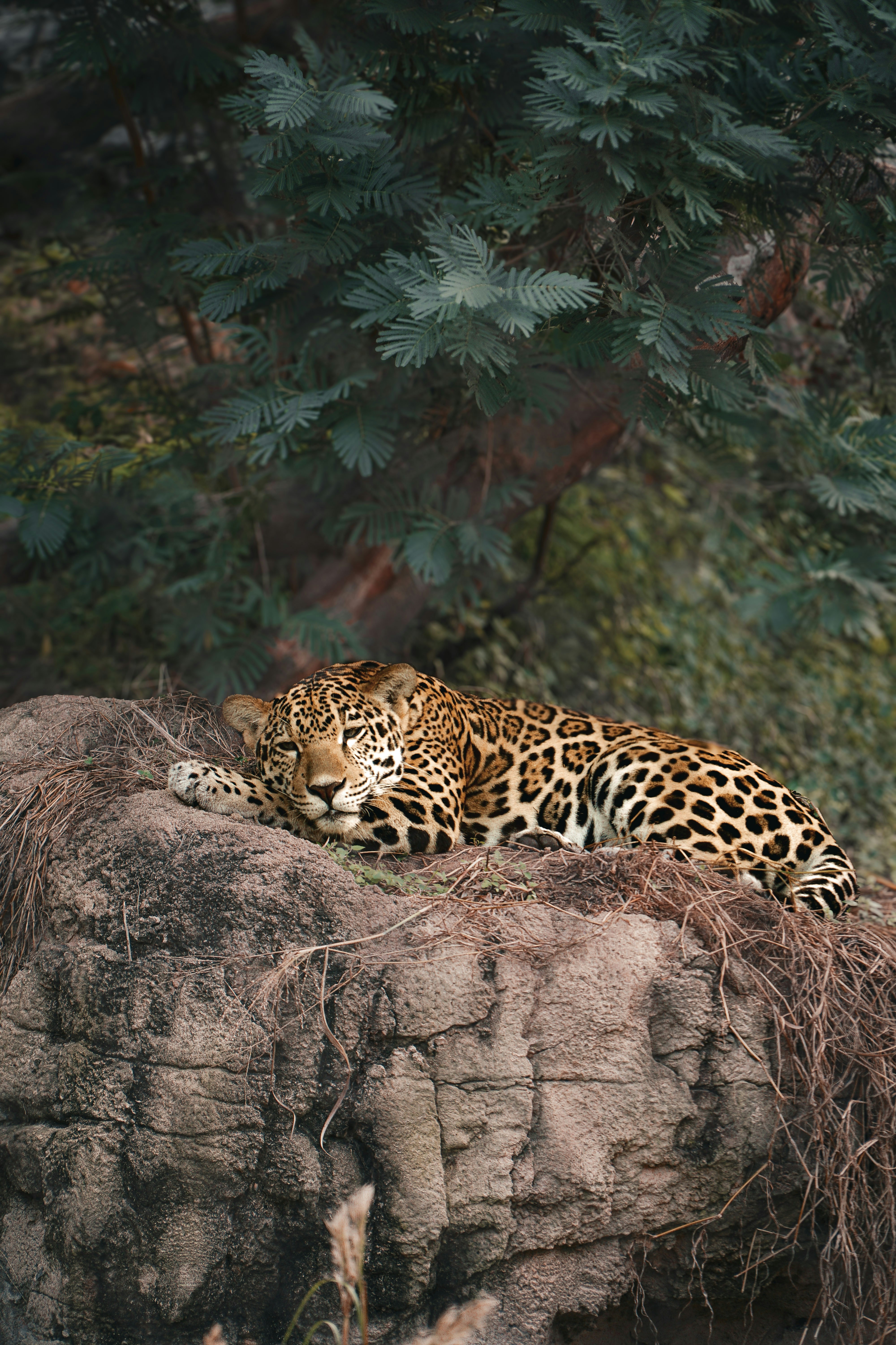 Photo by mothwingphoto