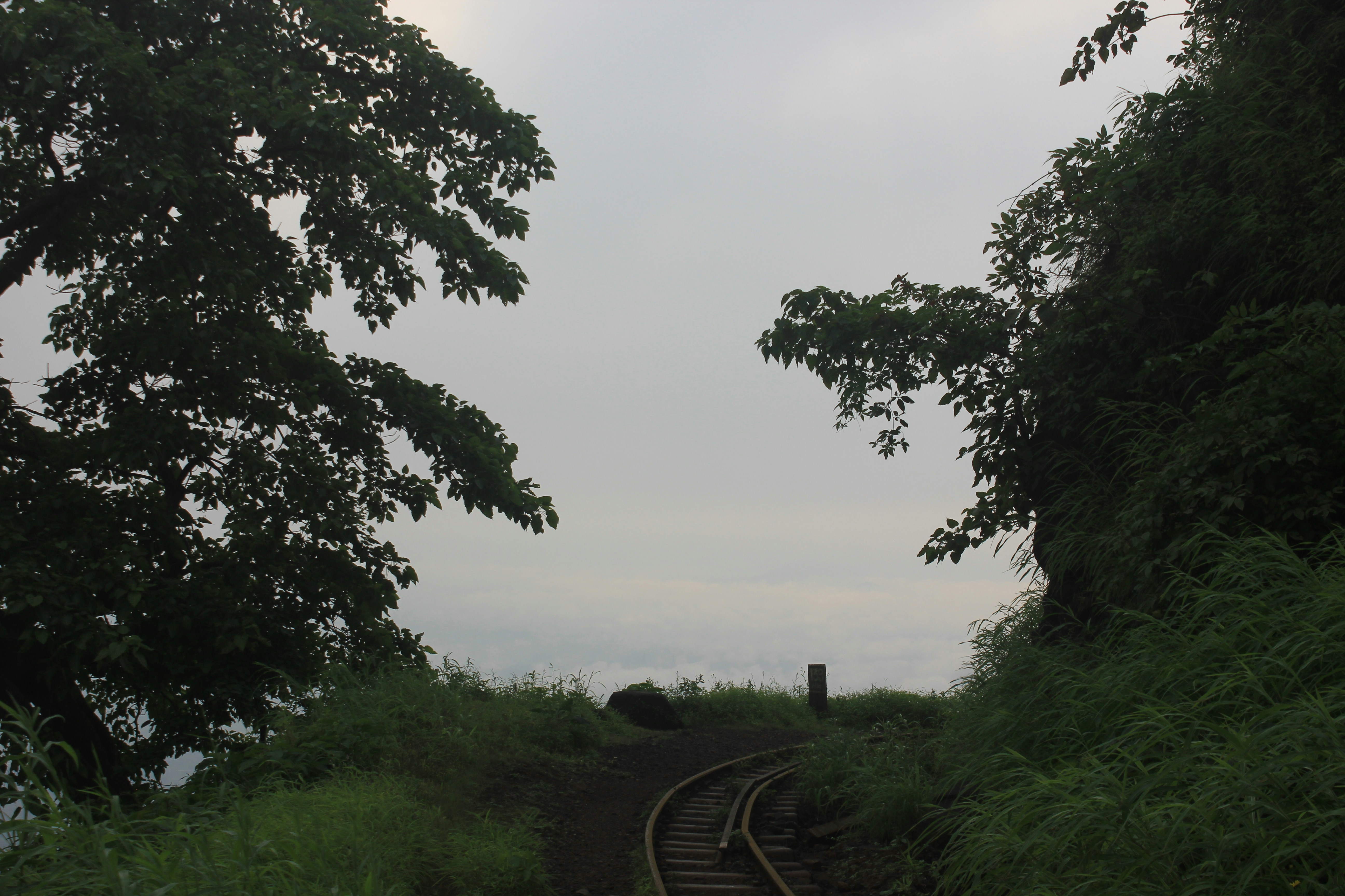 Train tracks curve through lush green foliage under cloudy sky