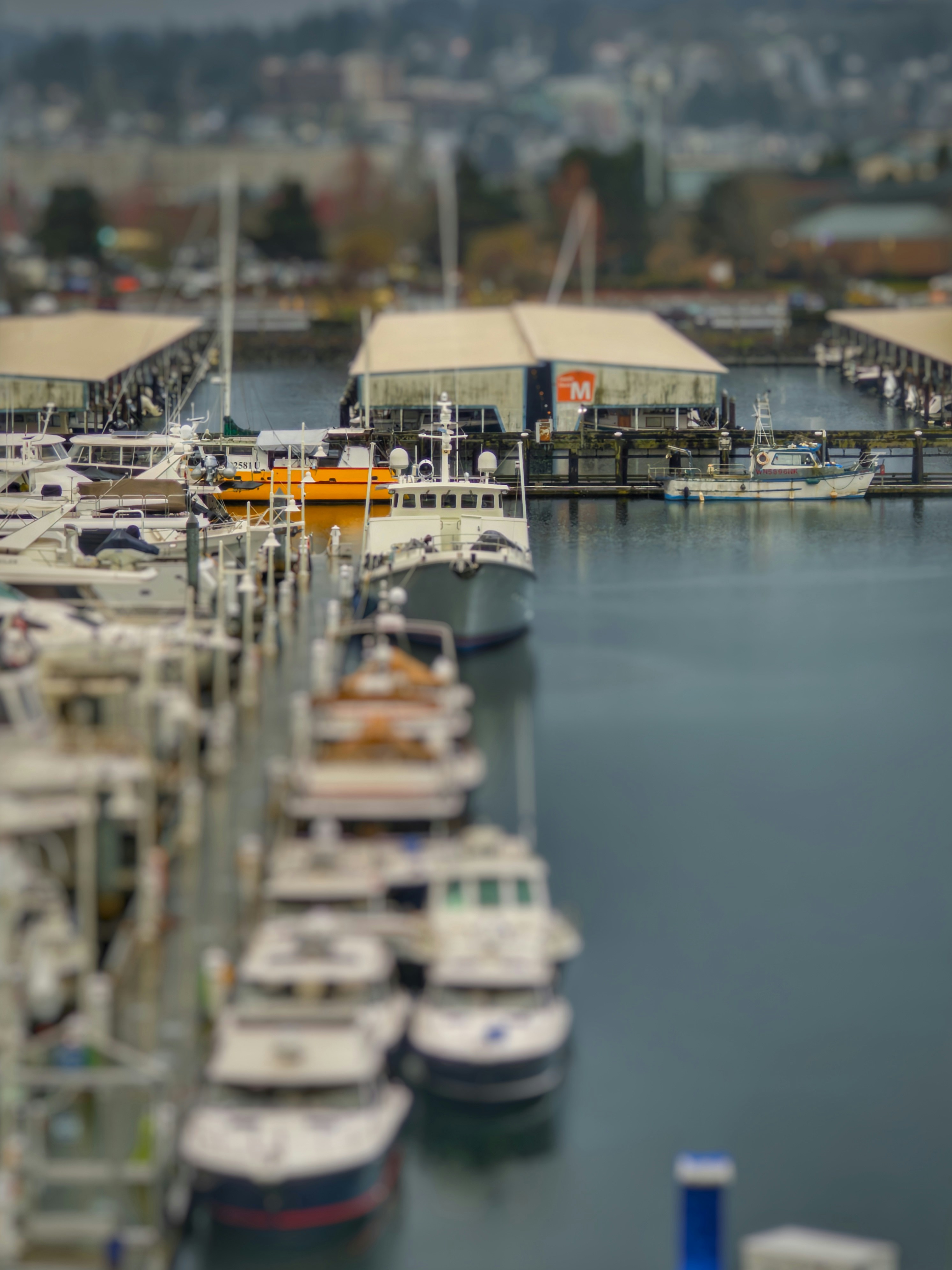 everett community