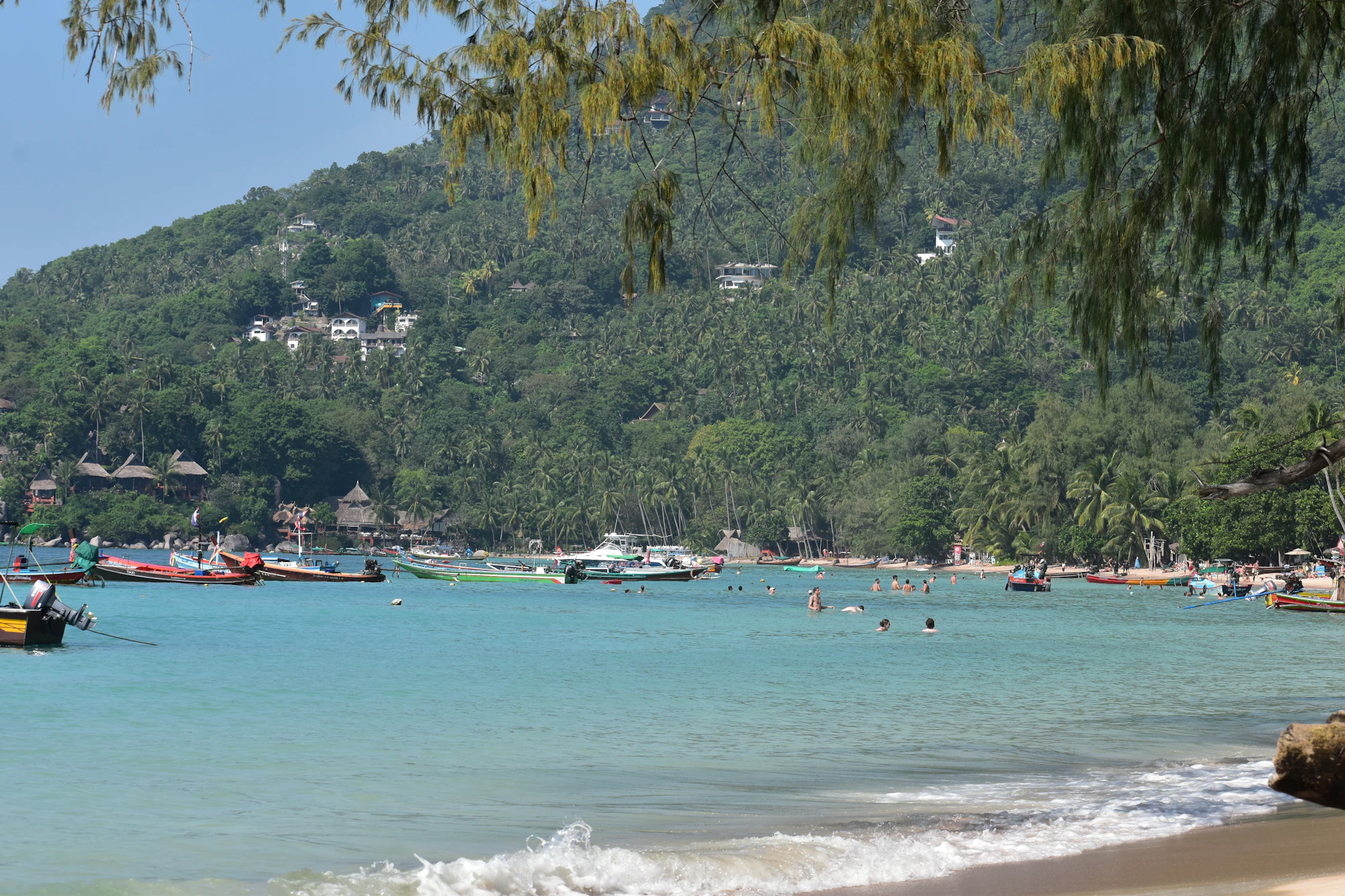 Koh Tao
