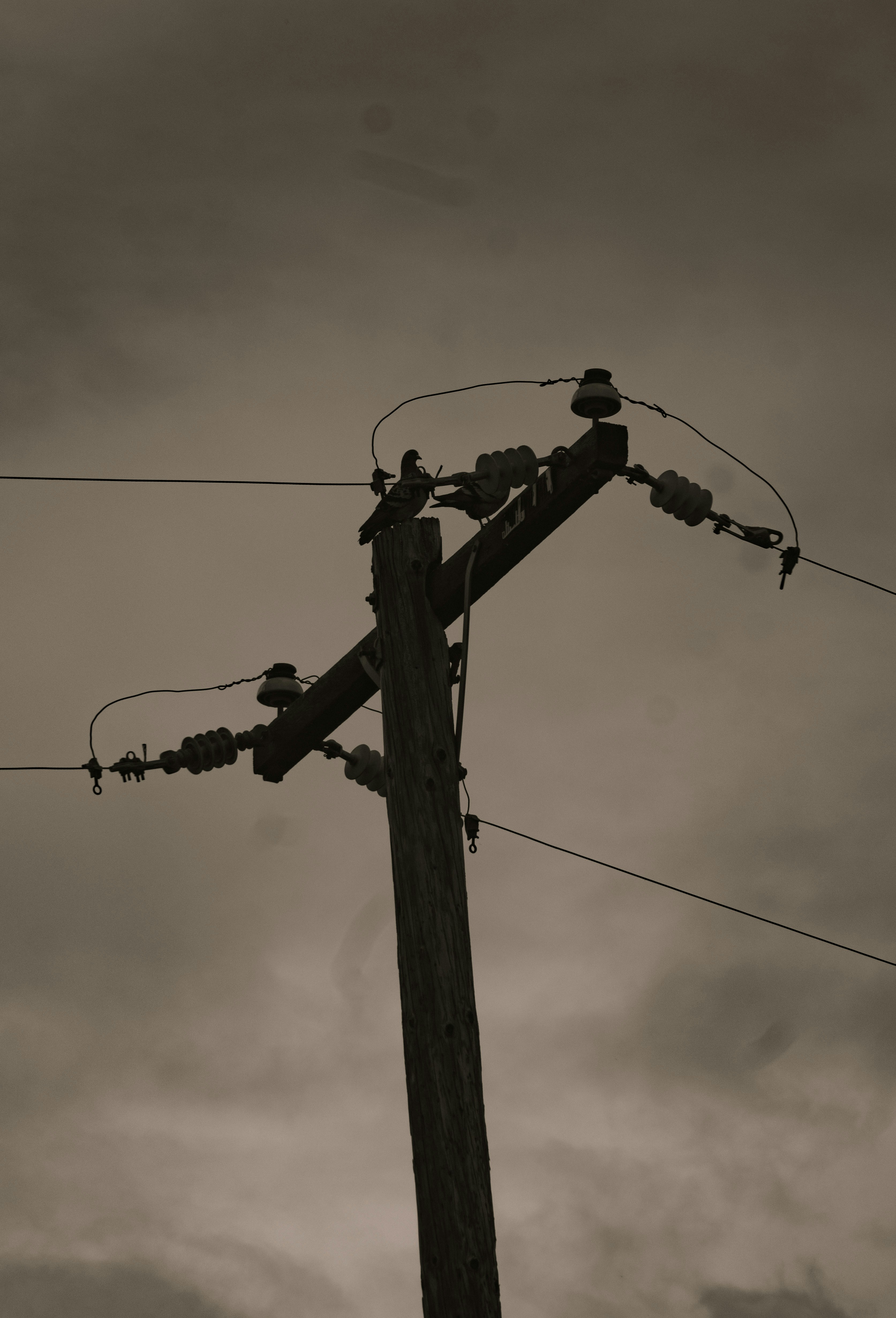 Photo by nishatsamadzai2001