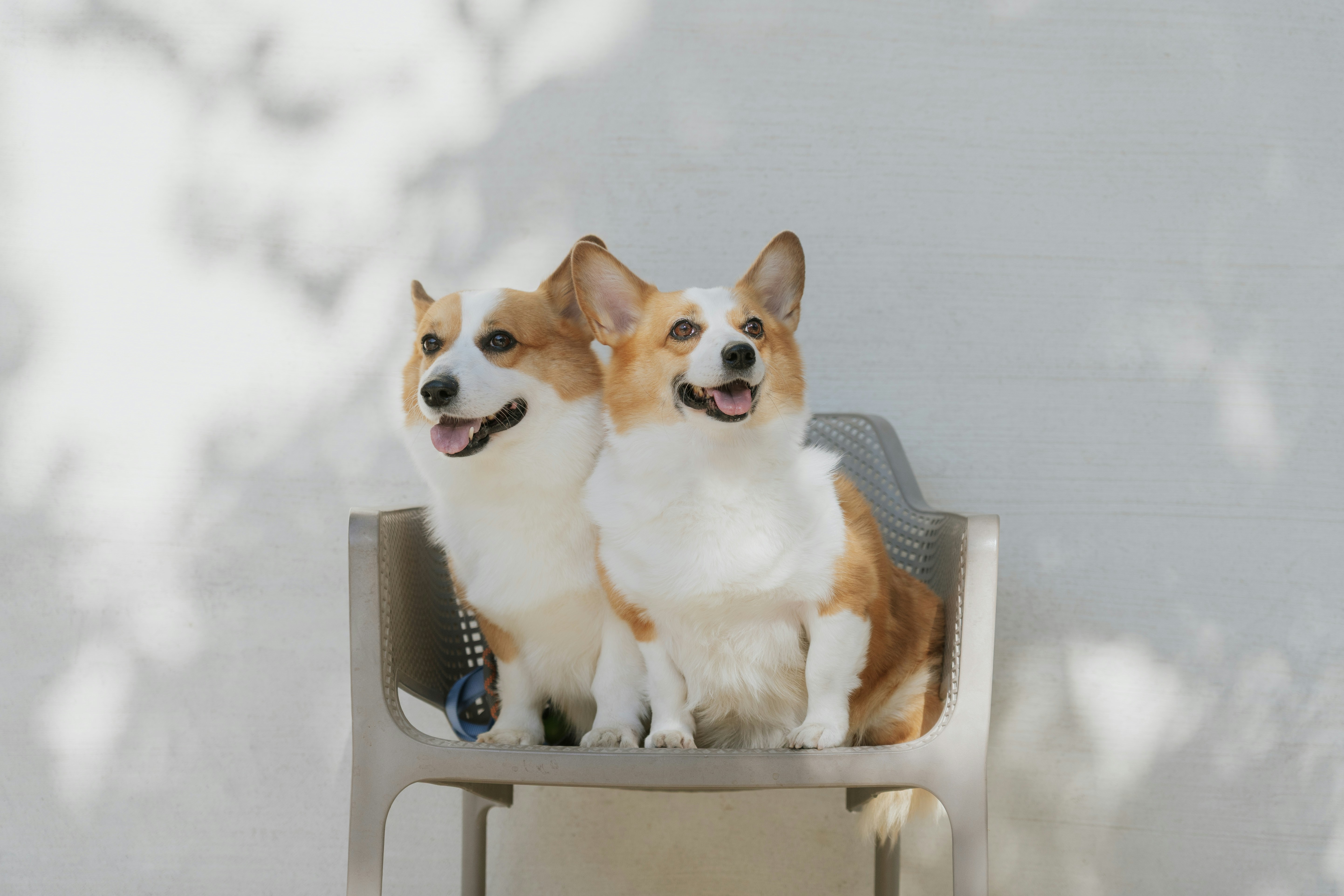 Learn The Vital Actions Required For The Precise And Timely Submission Of Company Tax Return, And Uncover Ways To Stop Sustaining Expensive Charges