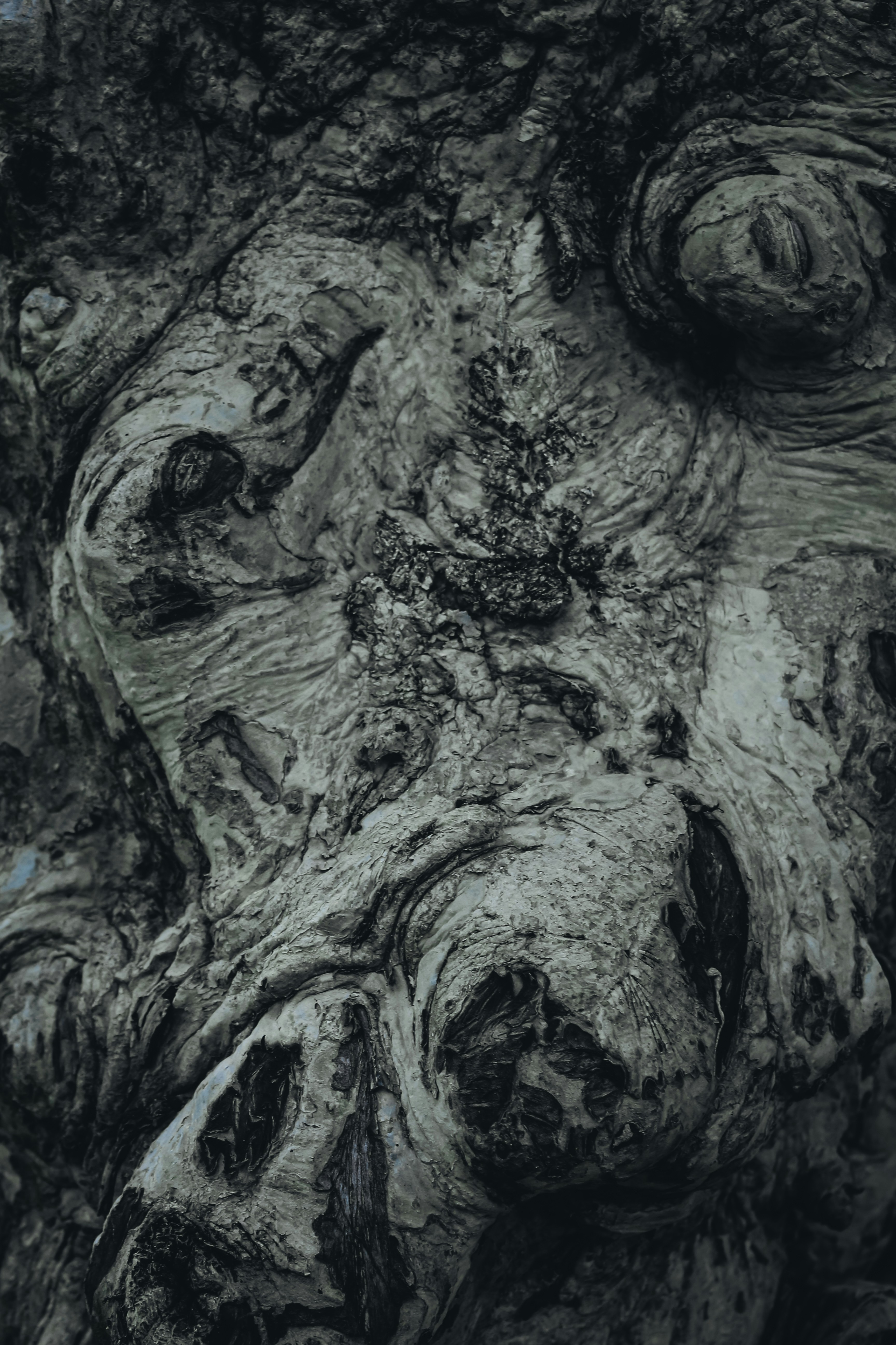 Photo by itsbiswanath