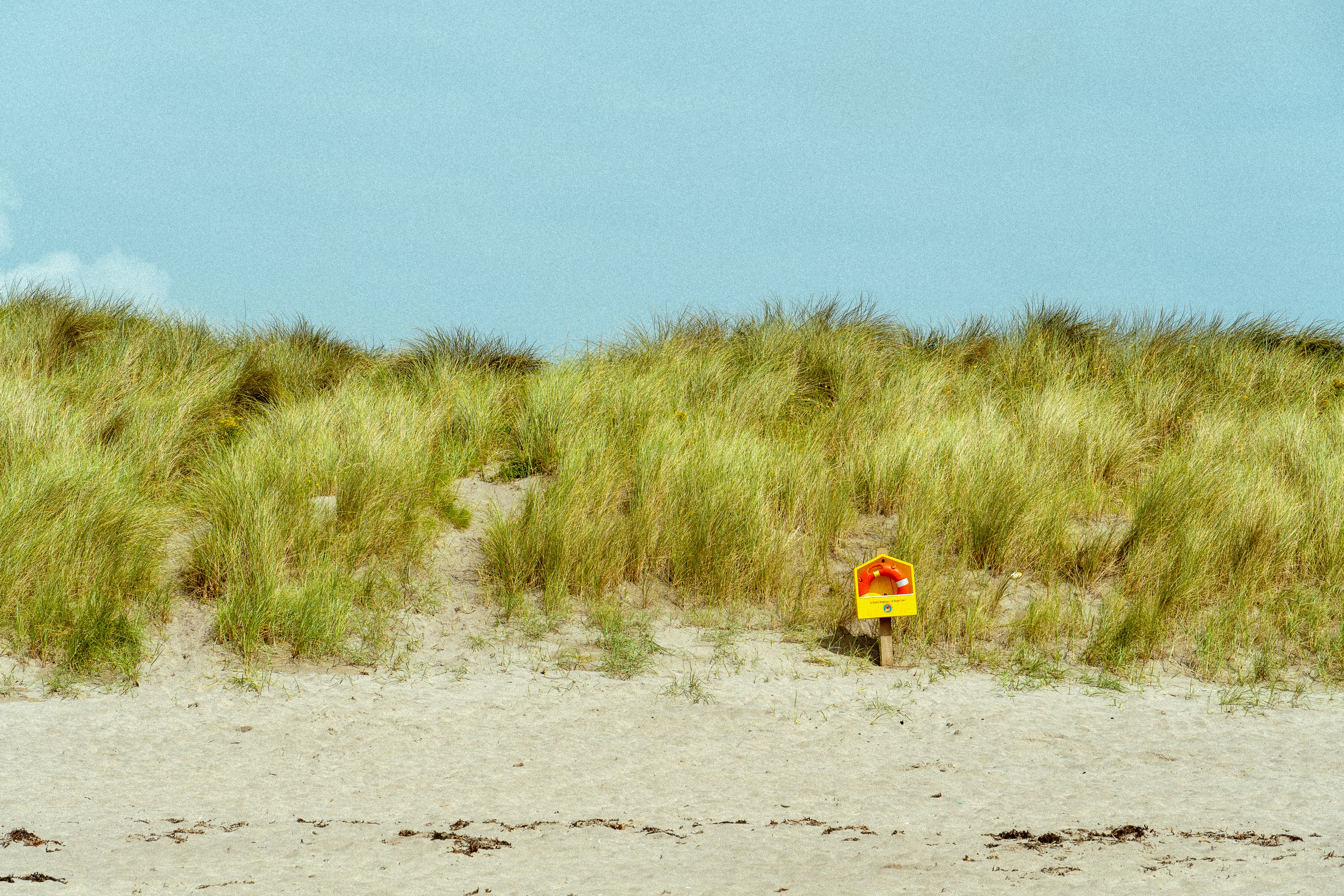 Grassy sand dunes with a small sign on the right