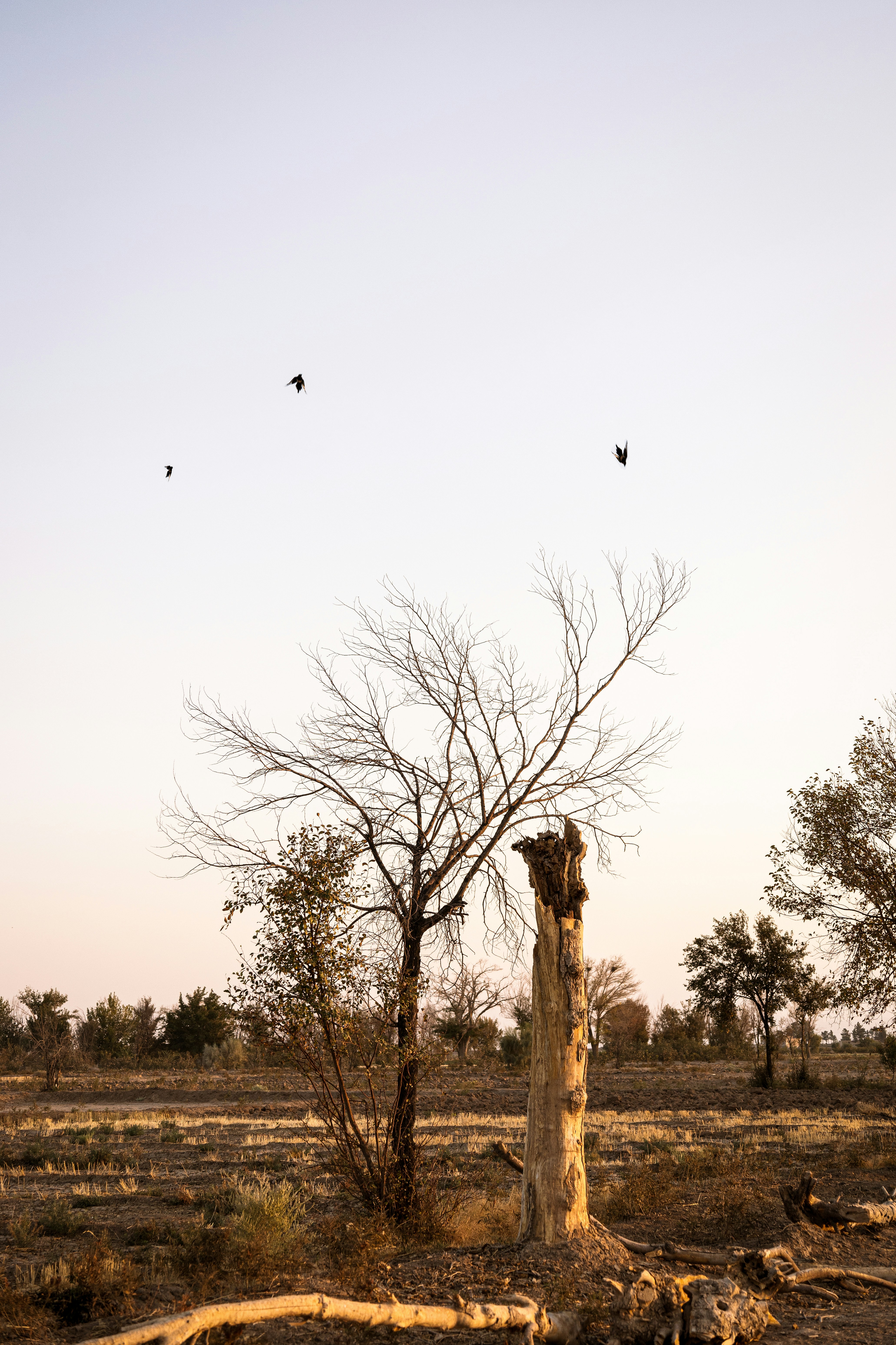 Photo by sanakarimmi