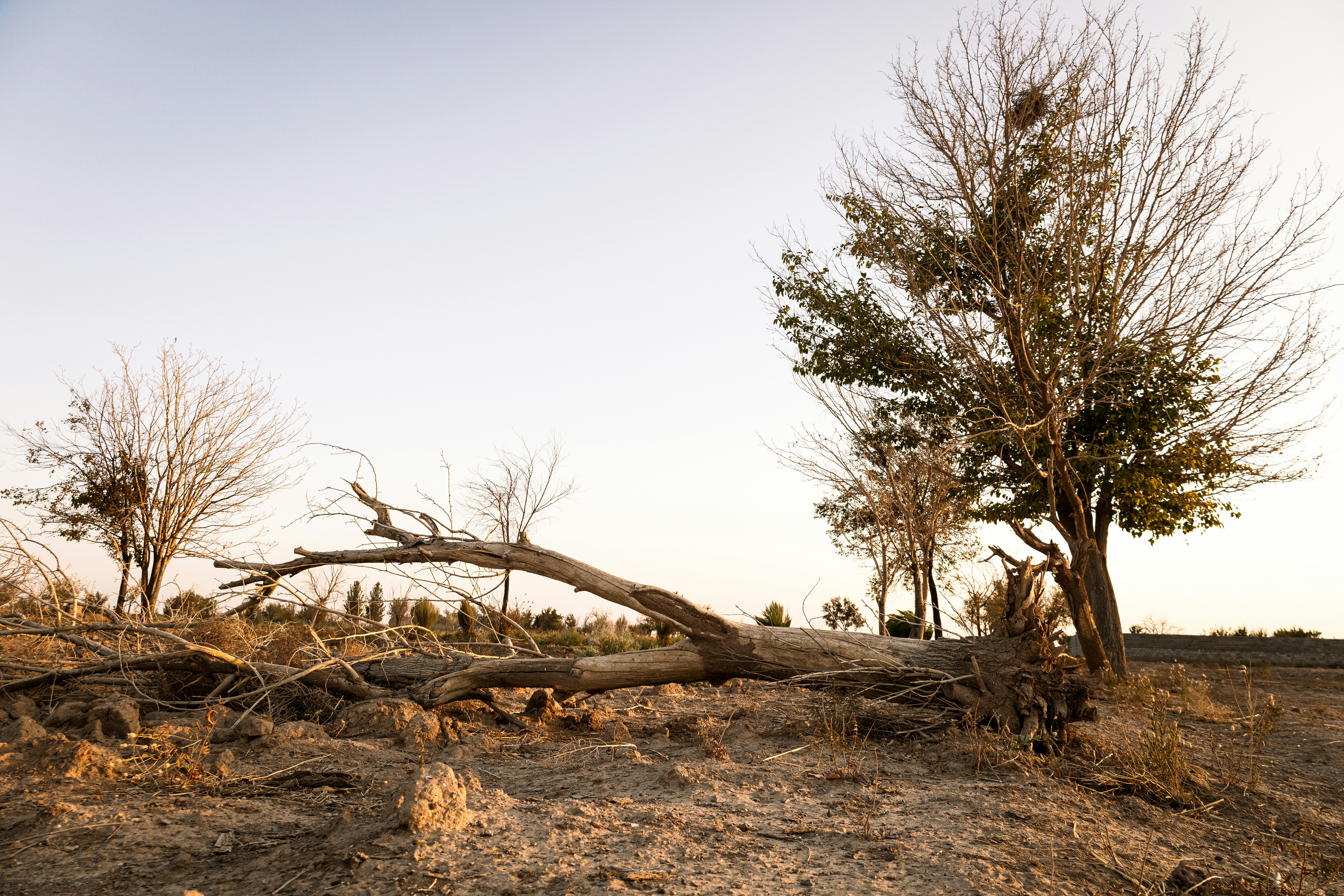 Photo by sanakarimmi