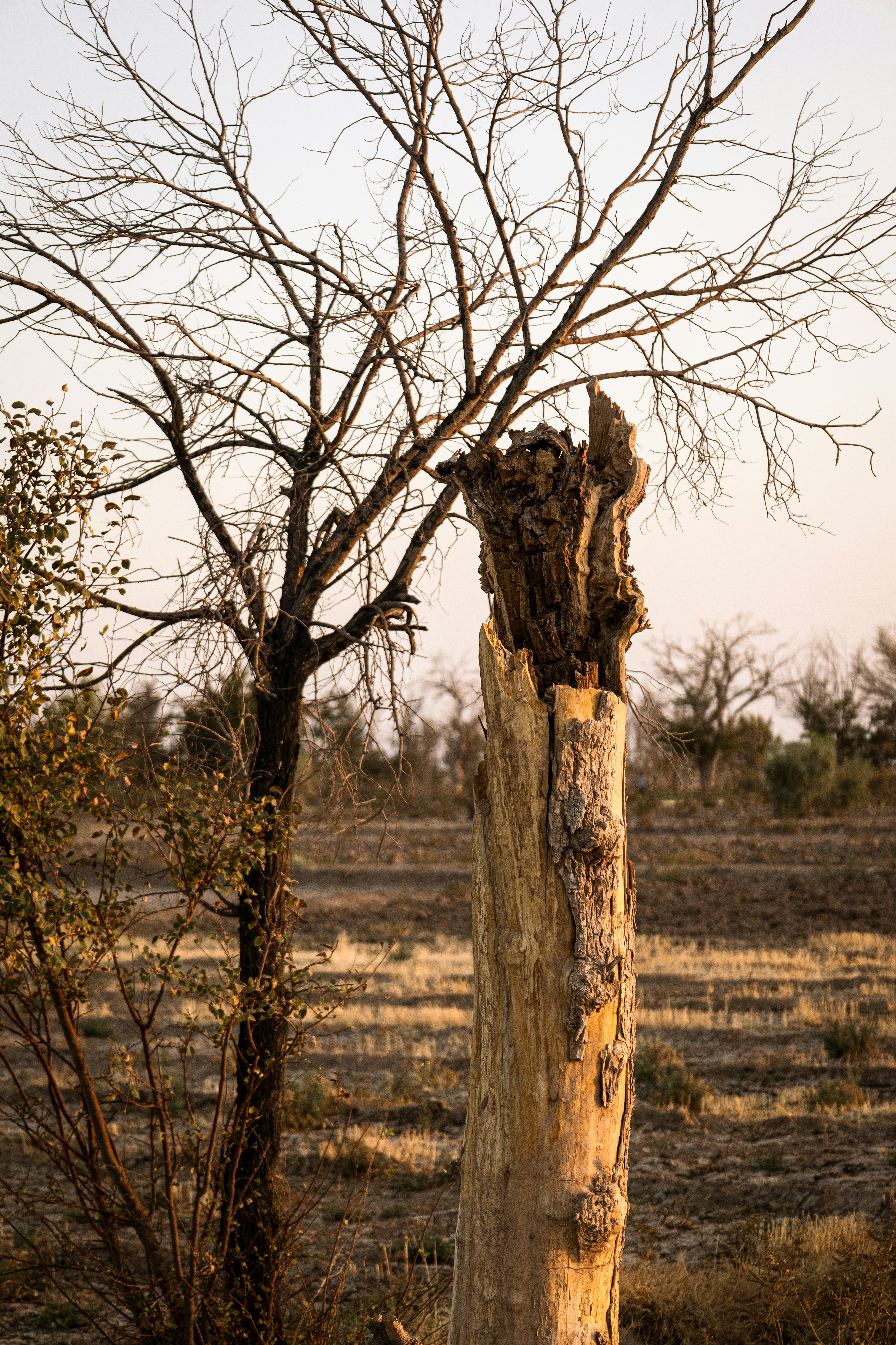 Photo by sanakarimmi