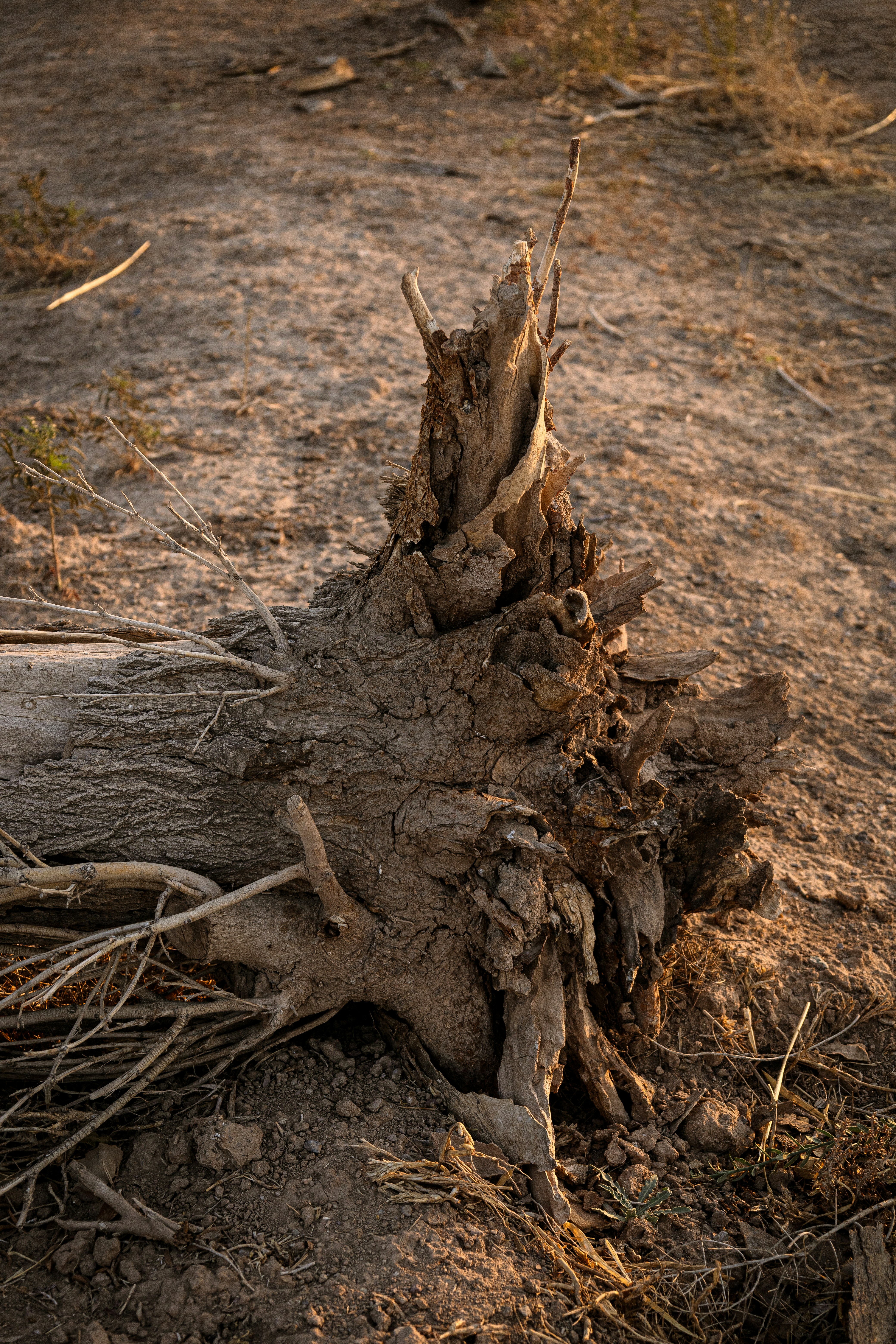 Photo by sanakarimmi