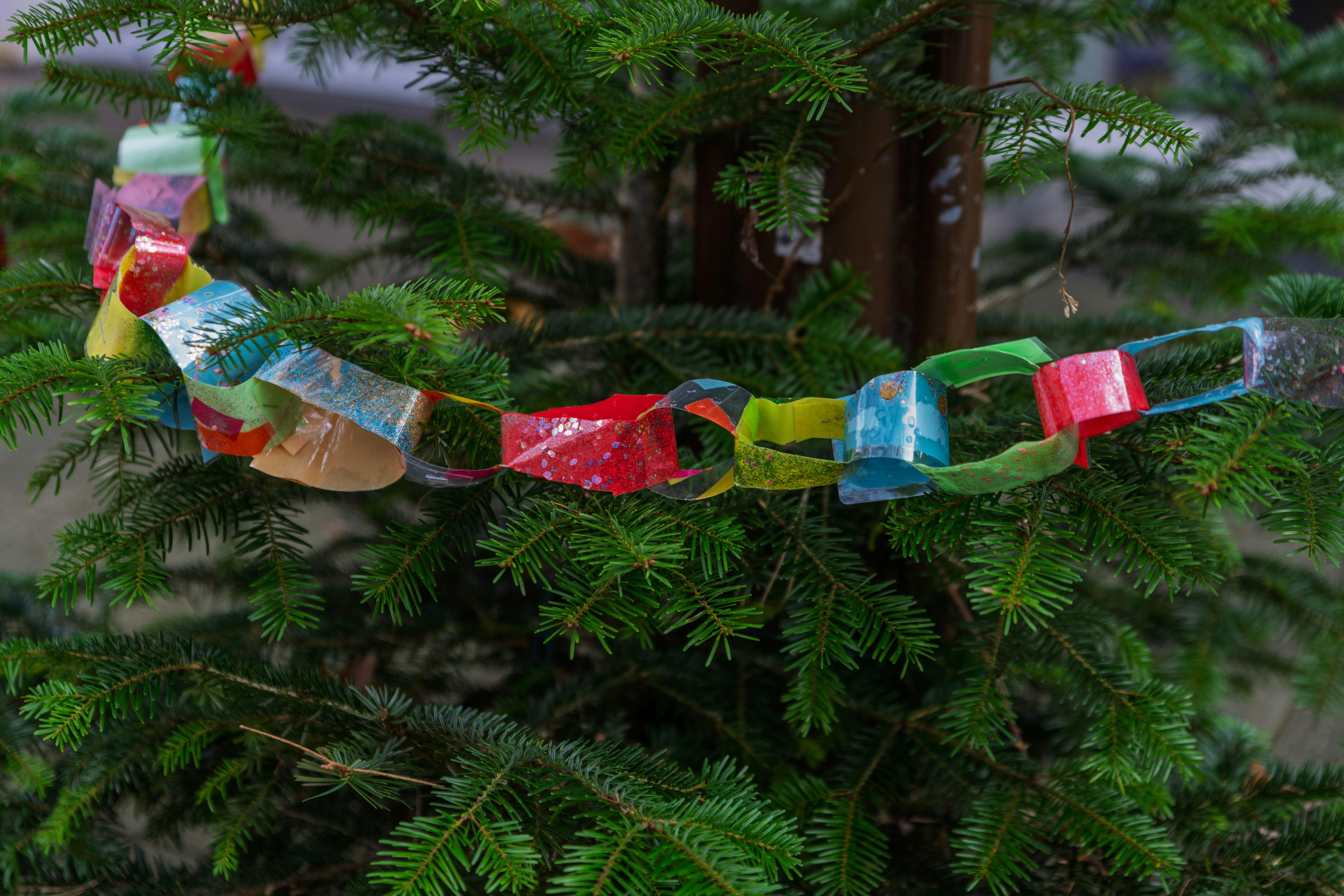 常緑樹の枝に飾られたカラフルな紙チェーンガーランド