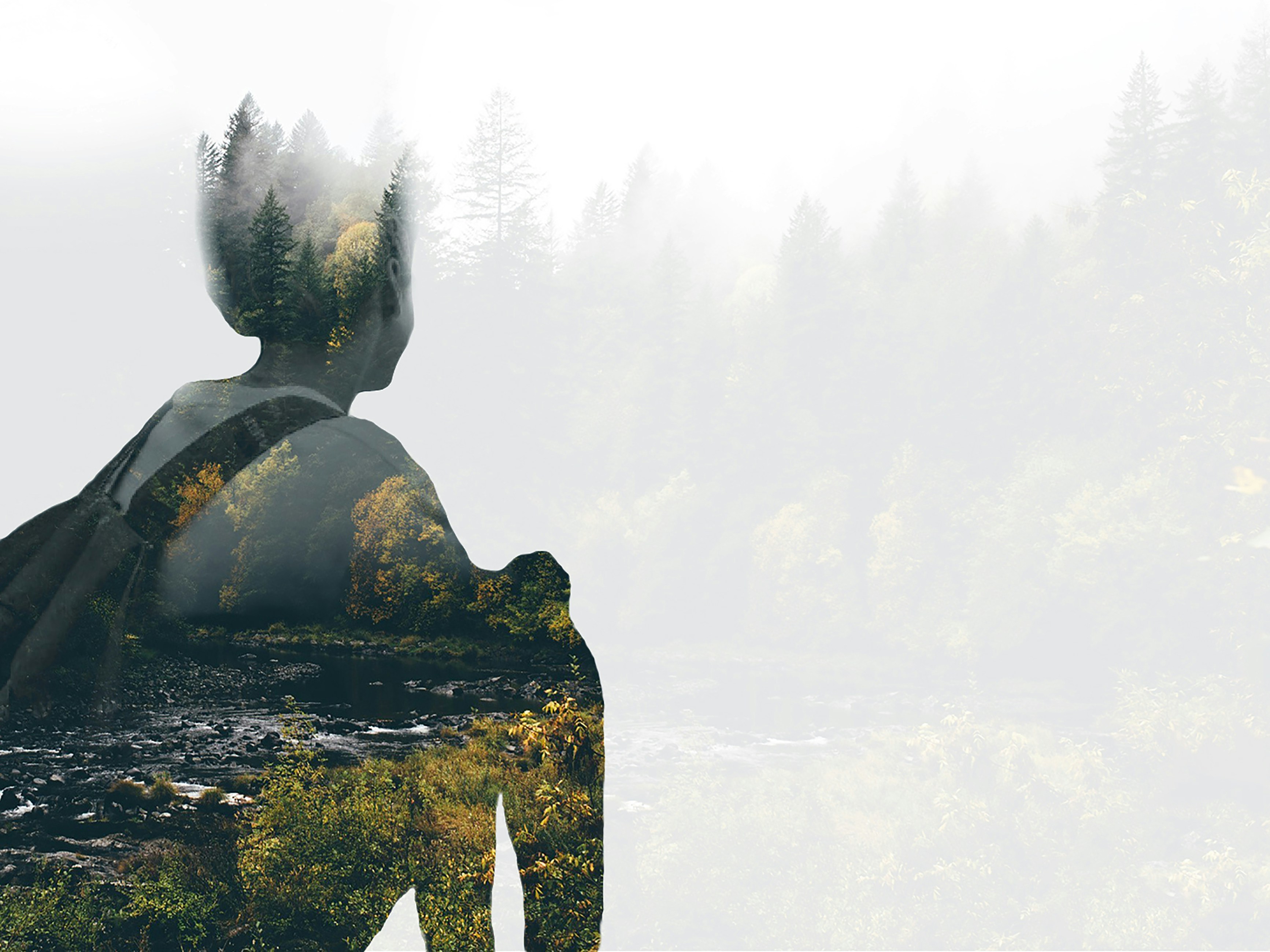 Doppelte Belichtung von Person und Waldlandschaft.