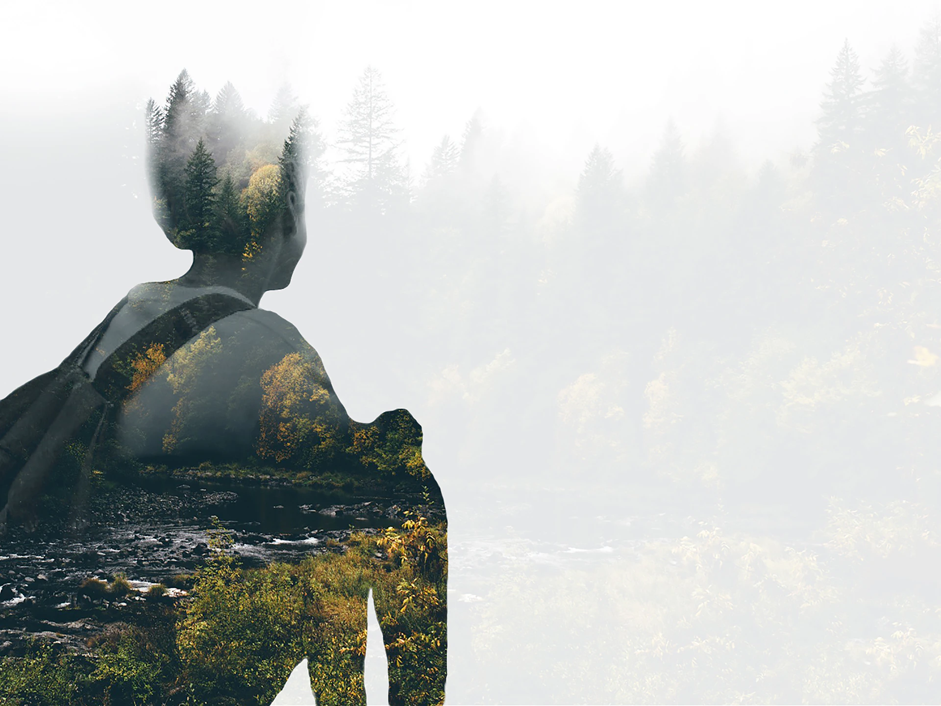 Double exposure of person and forest landscape