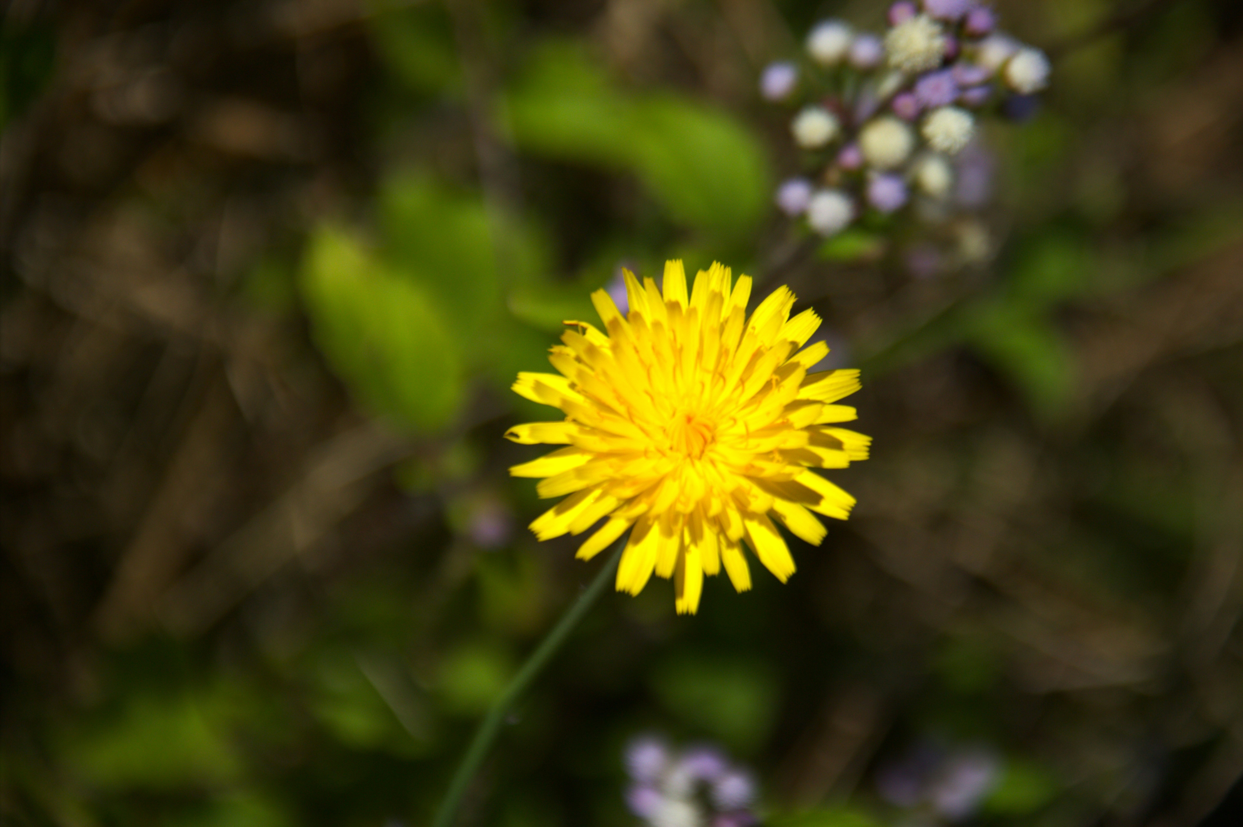 Photo by sitrakamamytantely12