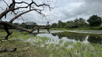 Best Sights in Dandeli Away From the Tourist Traps