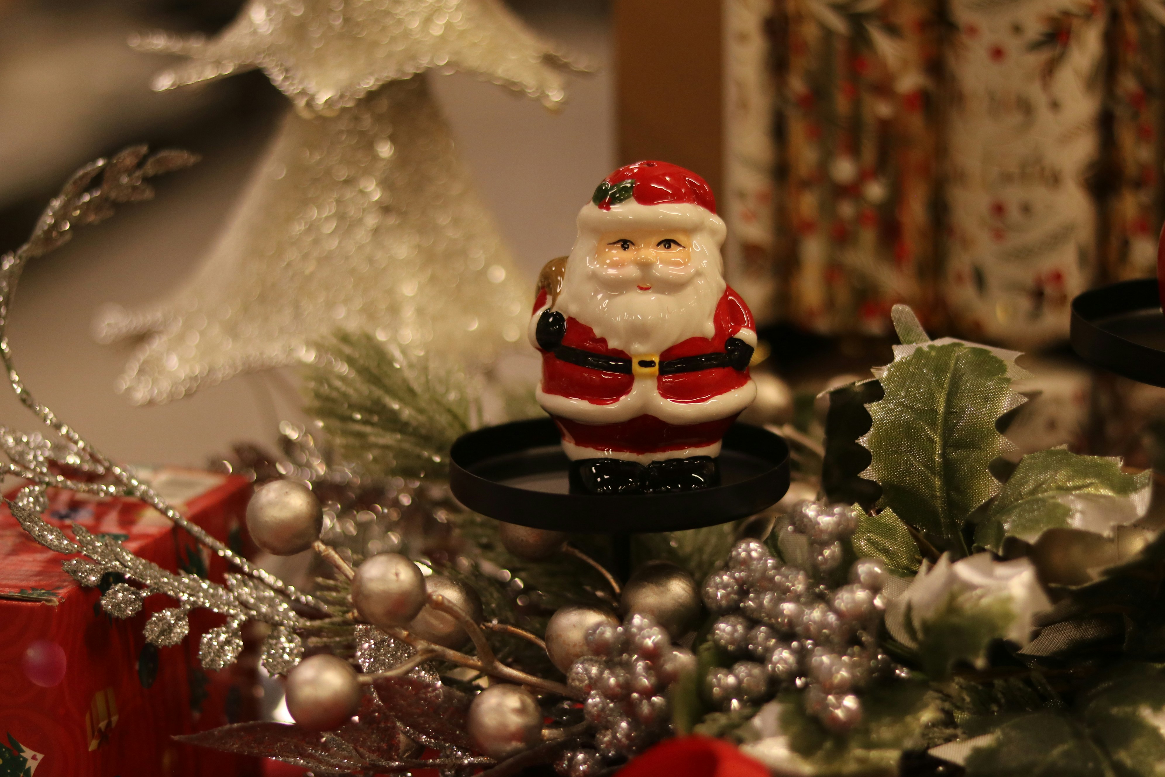 Photo by allysphotos