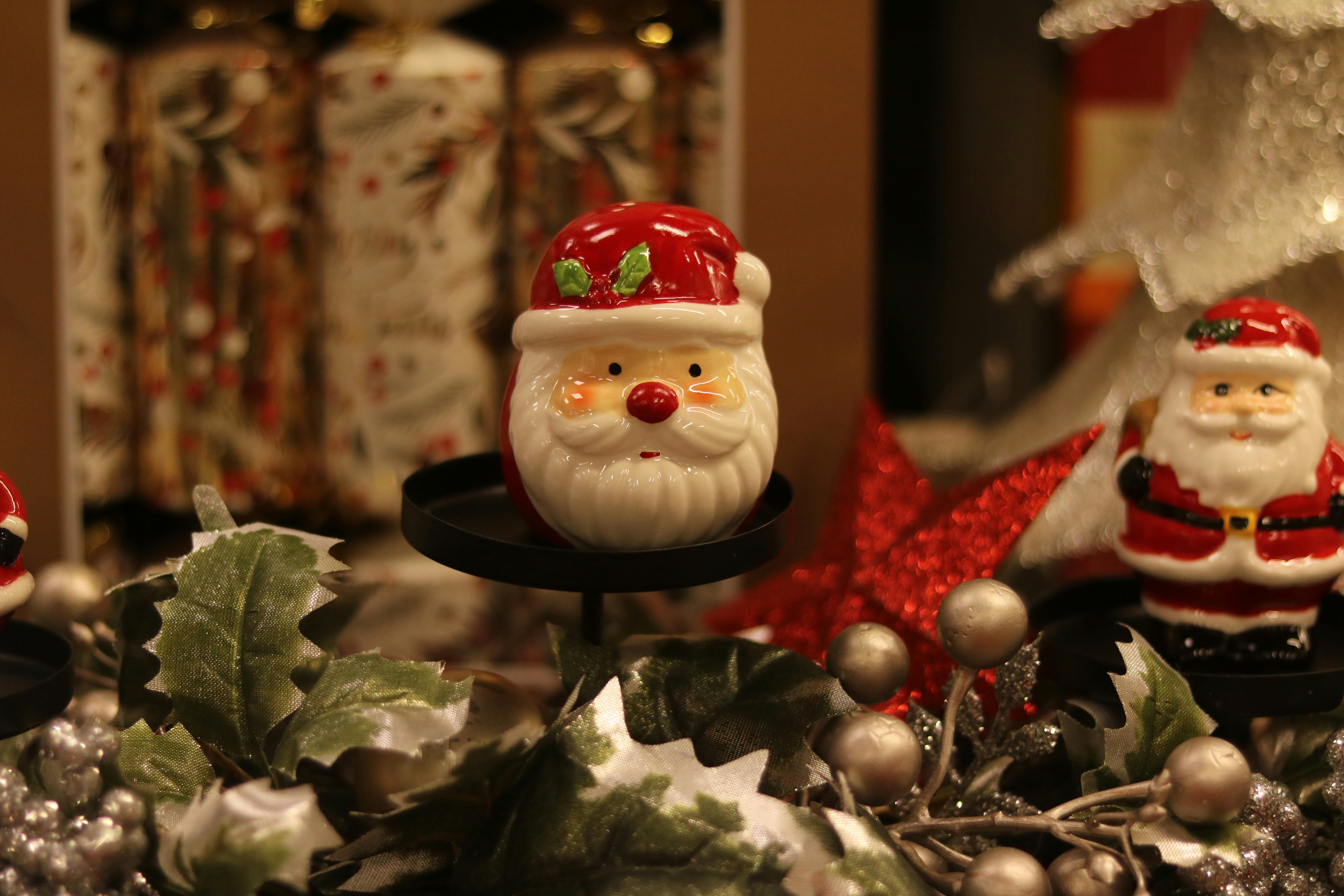 Photo by allysphotos