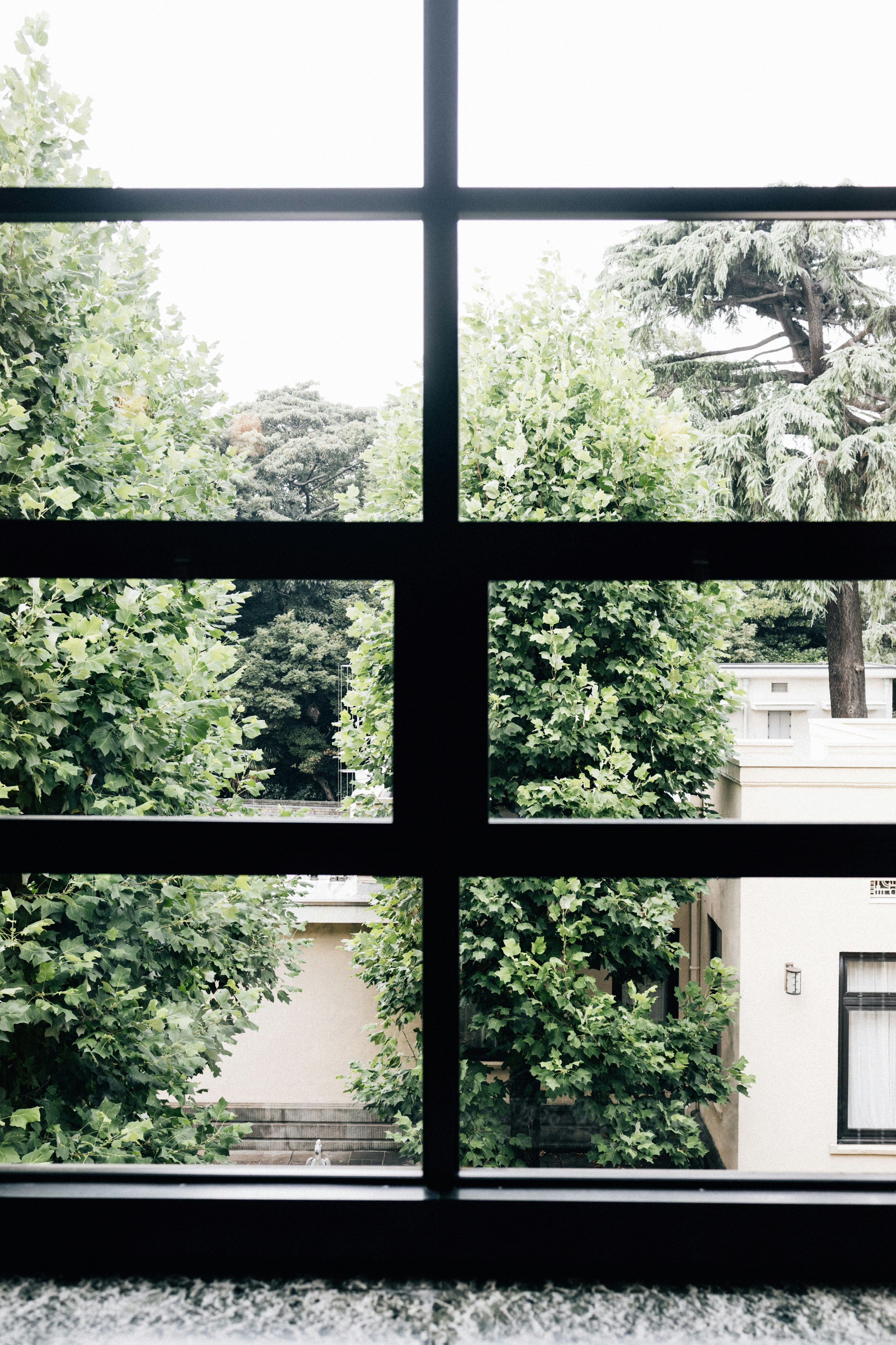 Photo by tsuyoshikozu