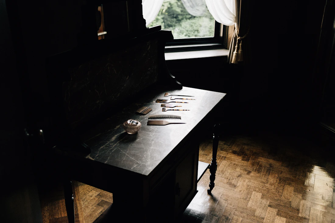Combs, shears and brush laid out in window light