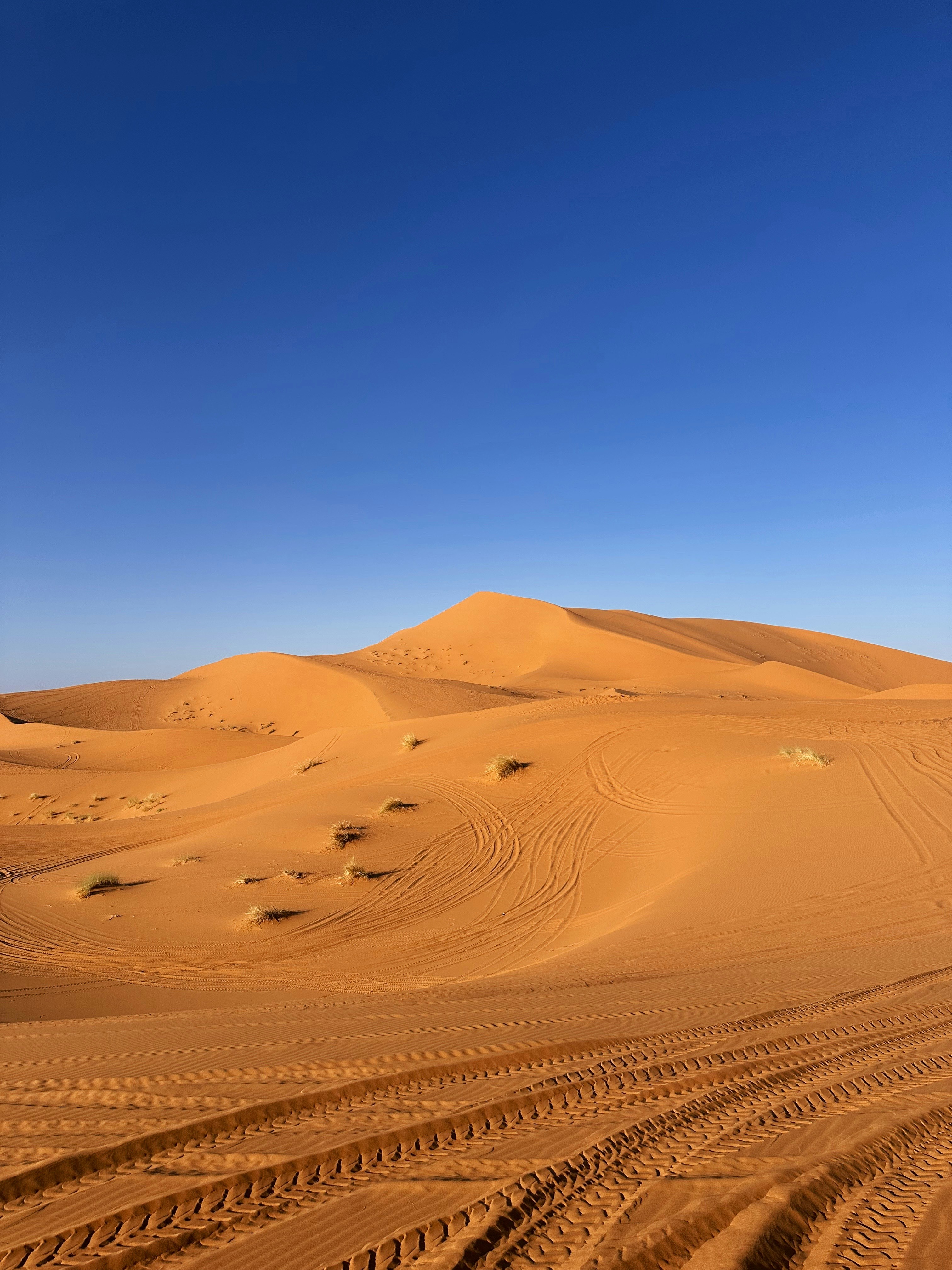 Photo by danisalmeida