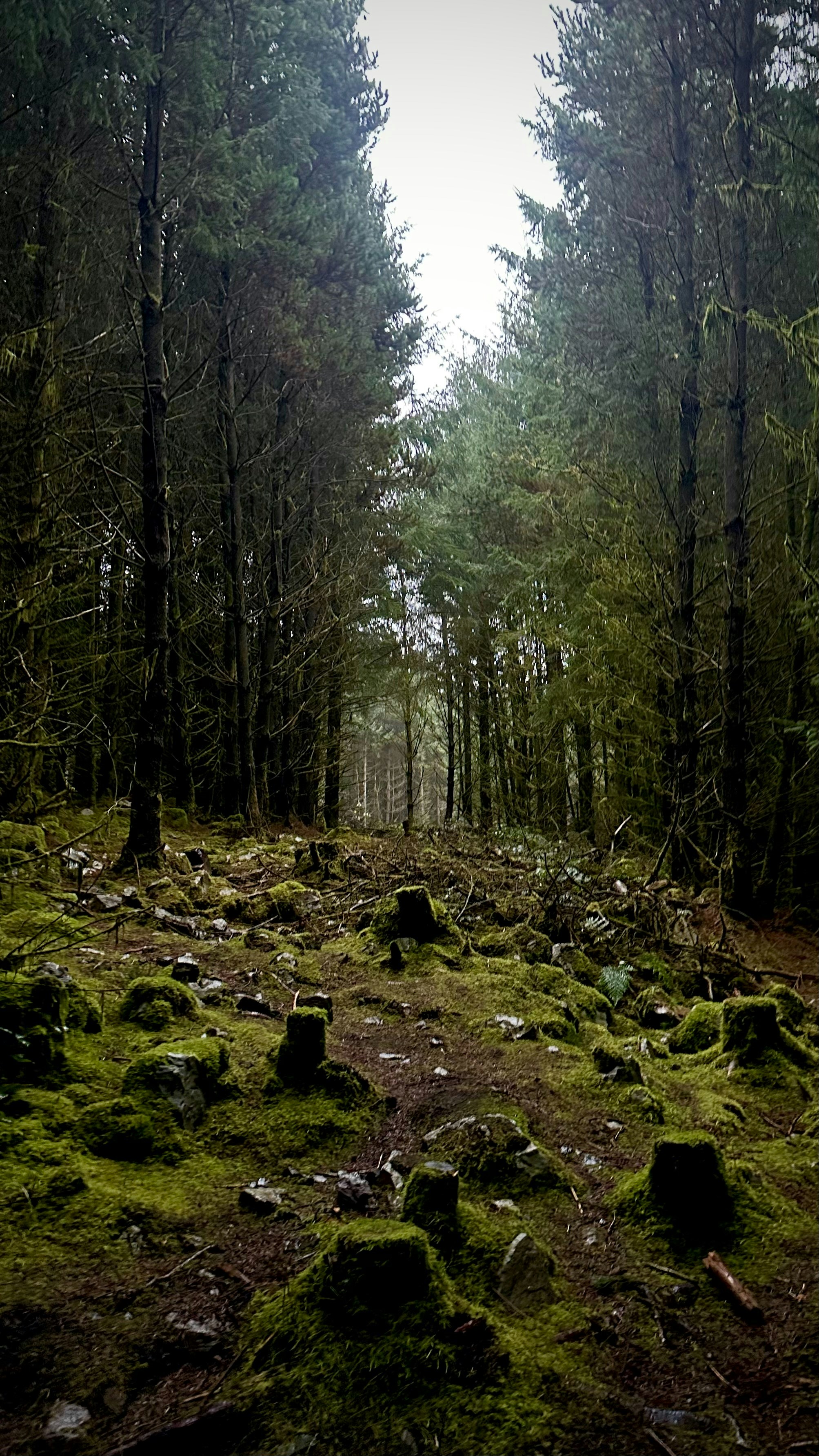 Photo by daaannorris