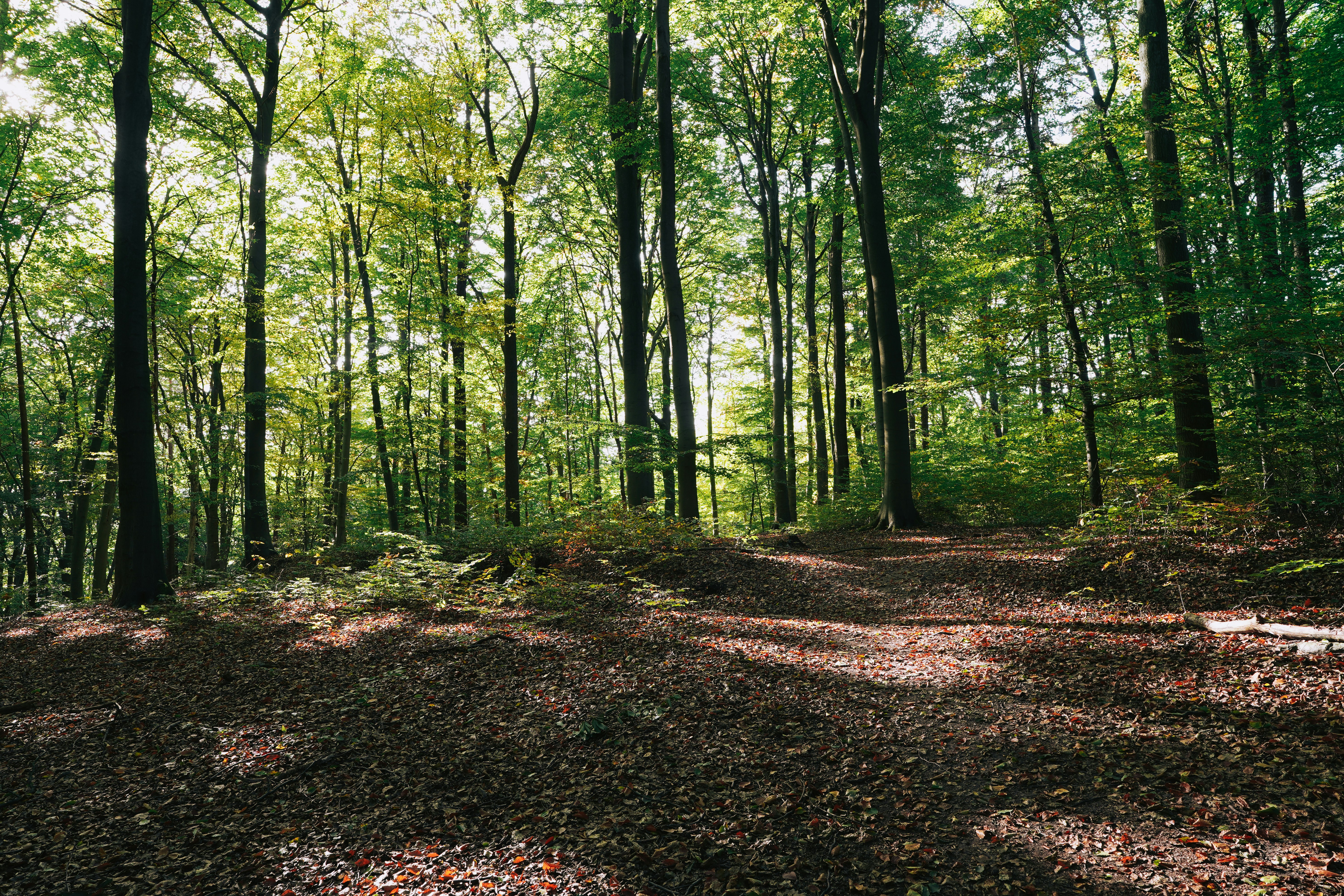 Photo by hamburgmeinefreundin