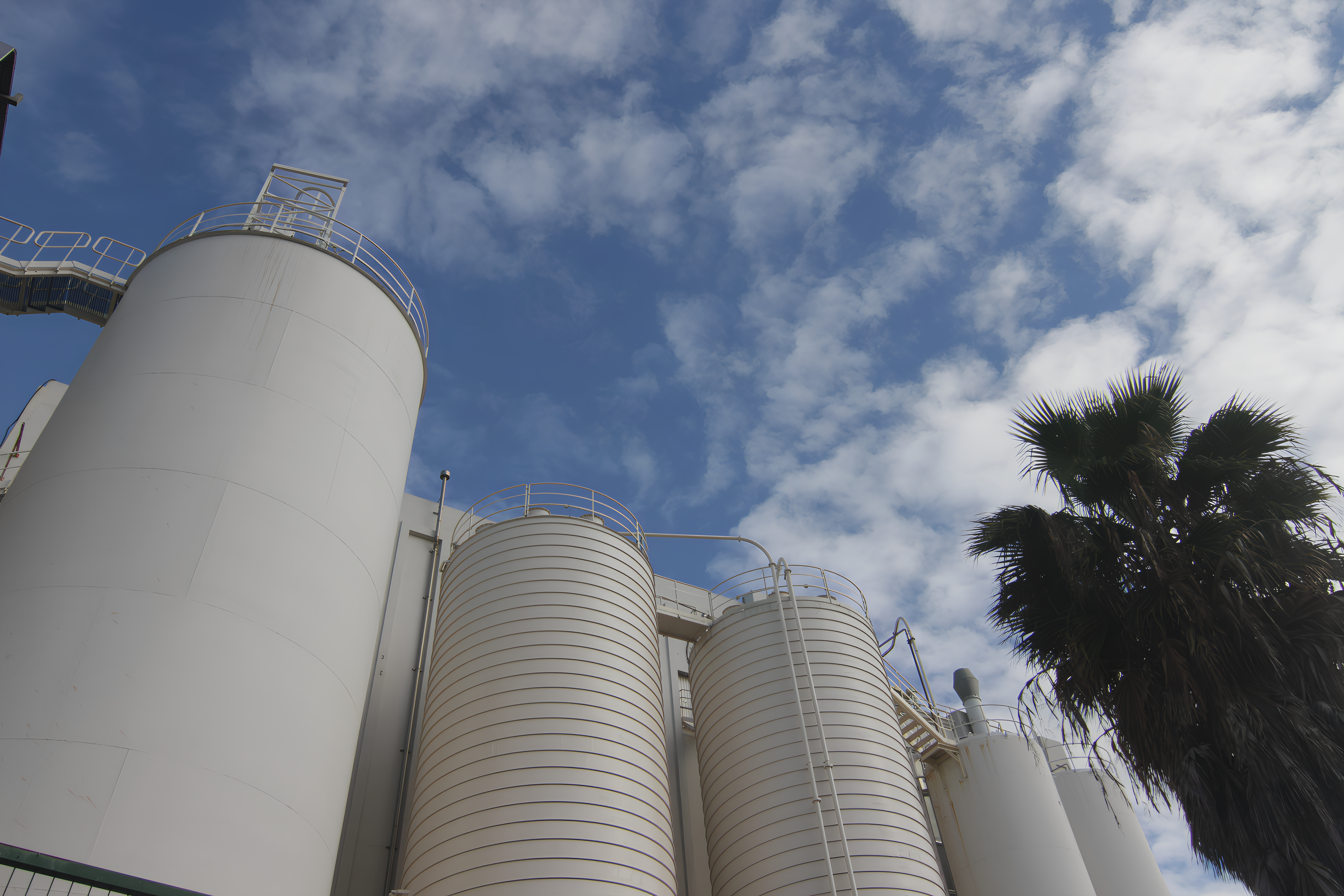 White industrial silos