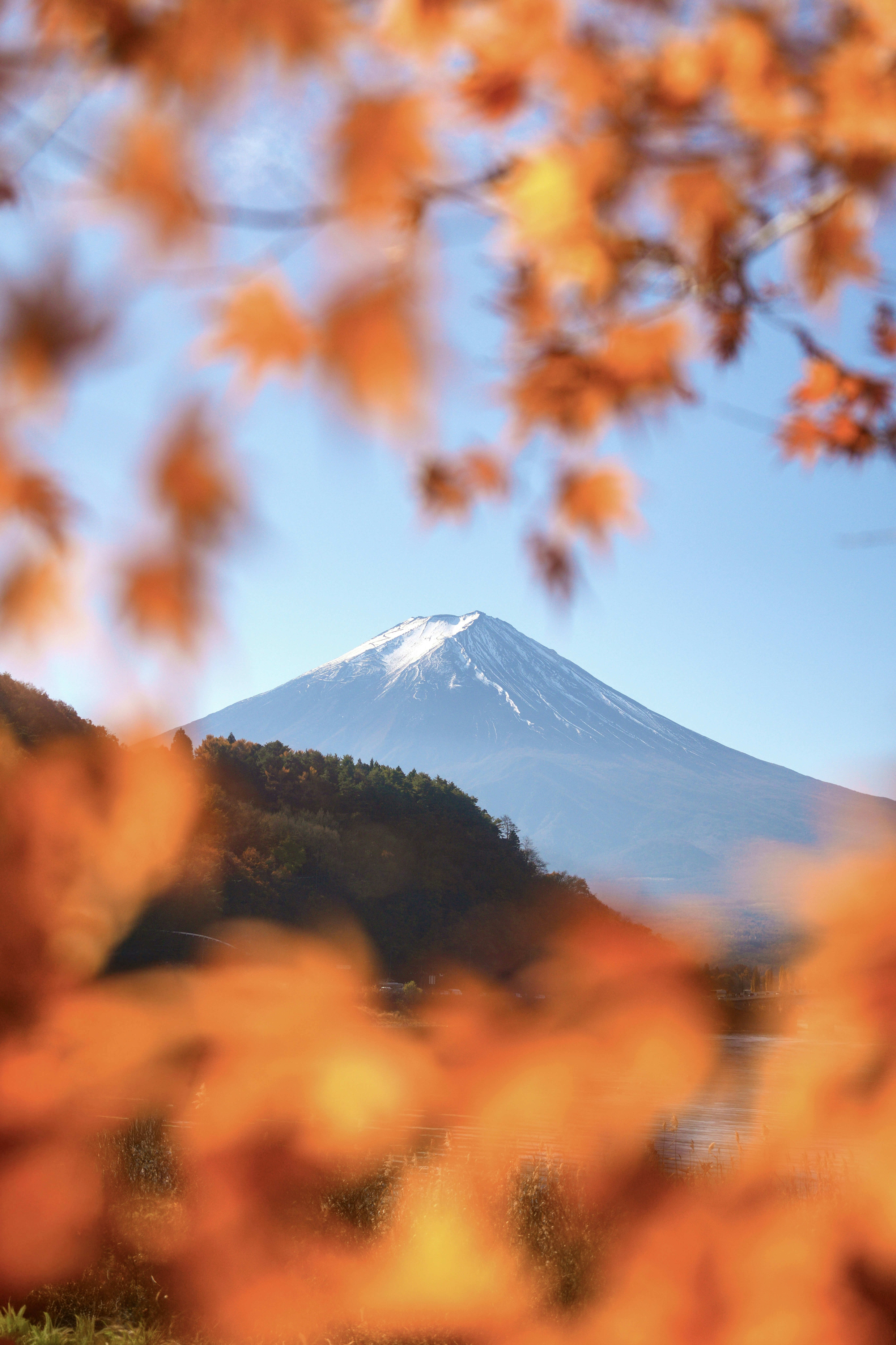 Photo by diadesigner