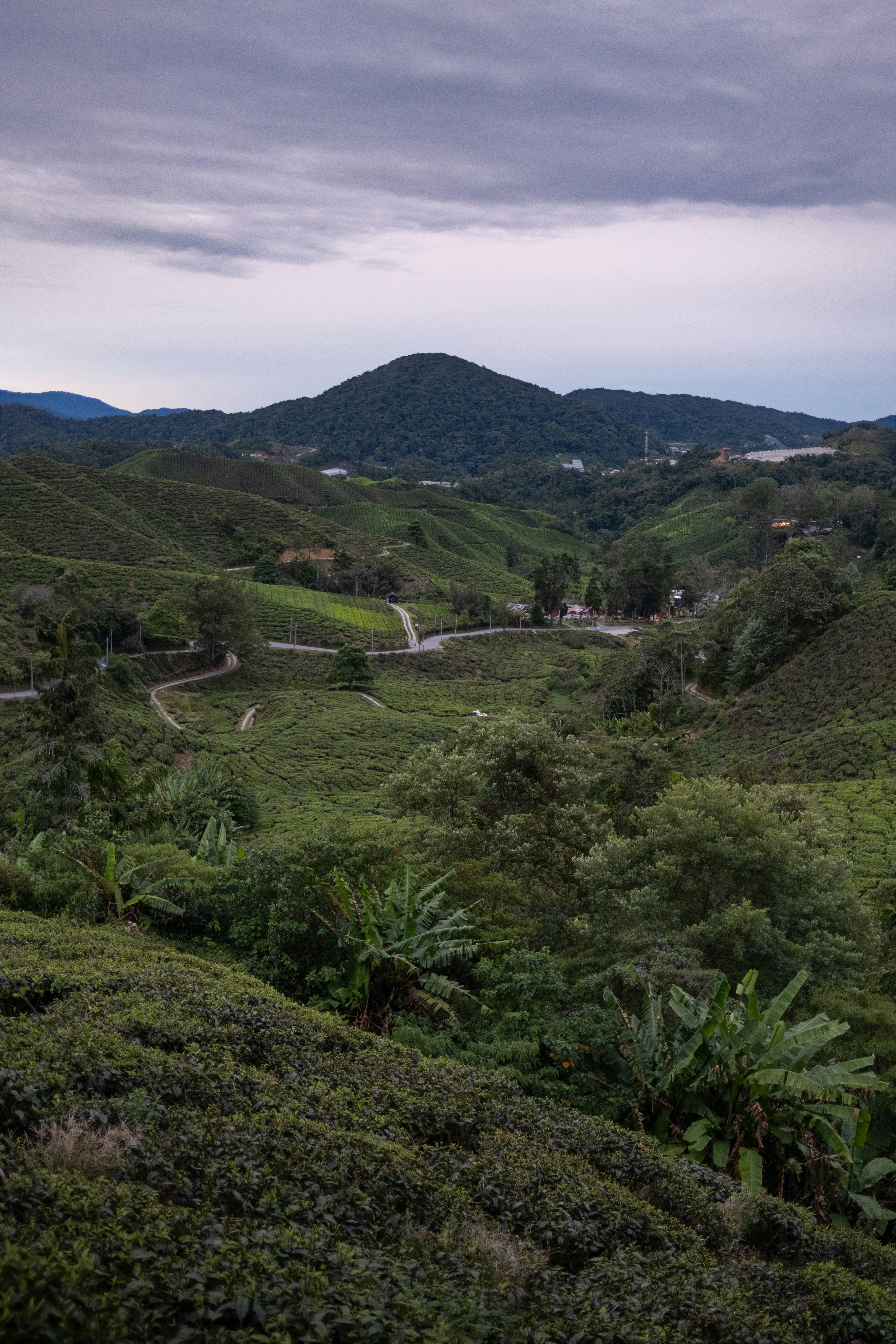 Rolling green hills with winding roads under cloudy sky