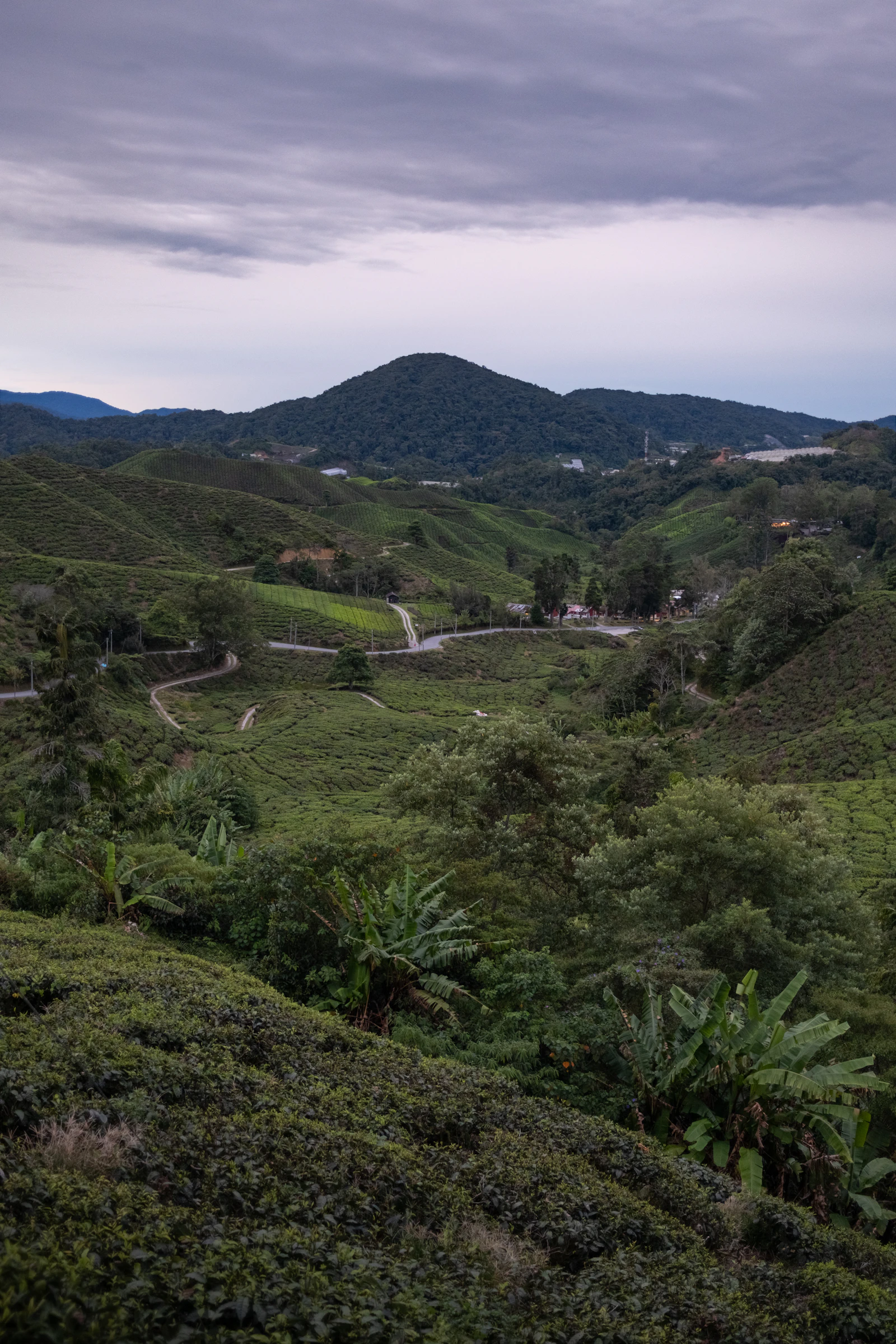 Cameron Highlands Weekend