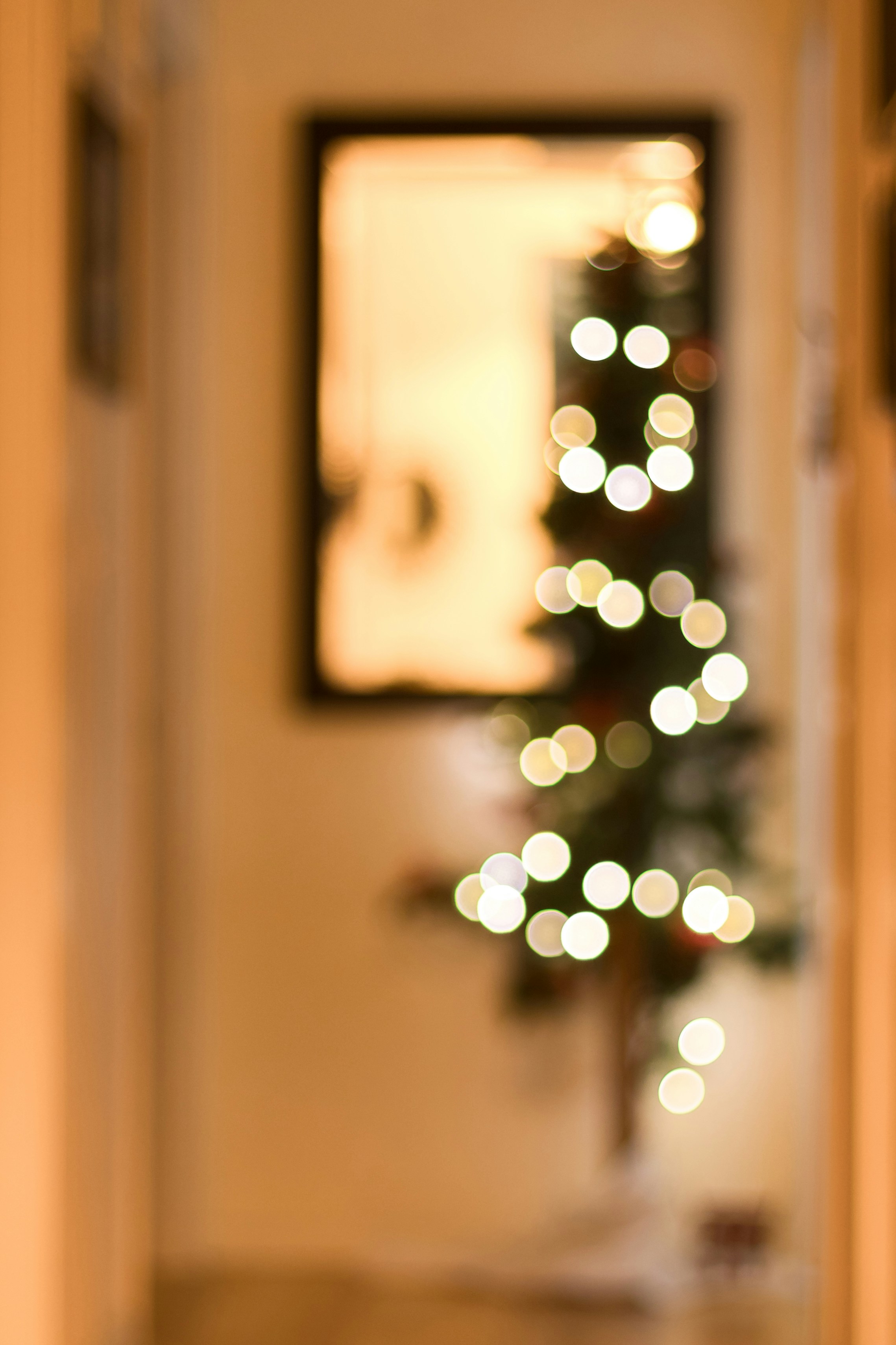 Photo by sixteenmilesout