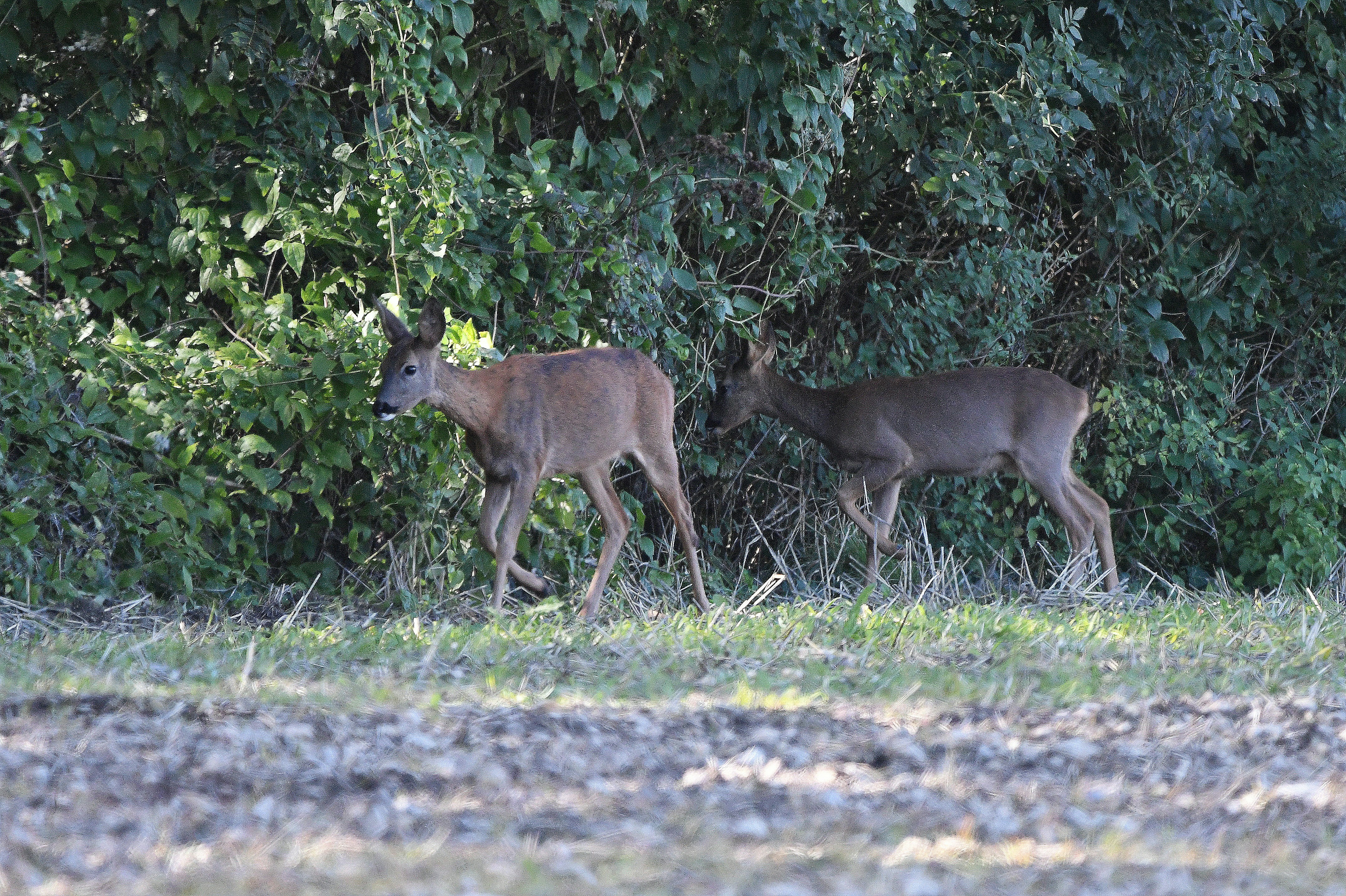 Photo by geraldine86170