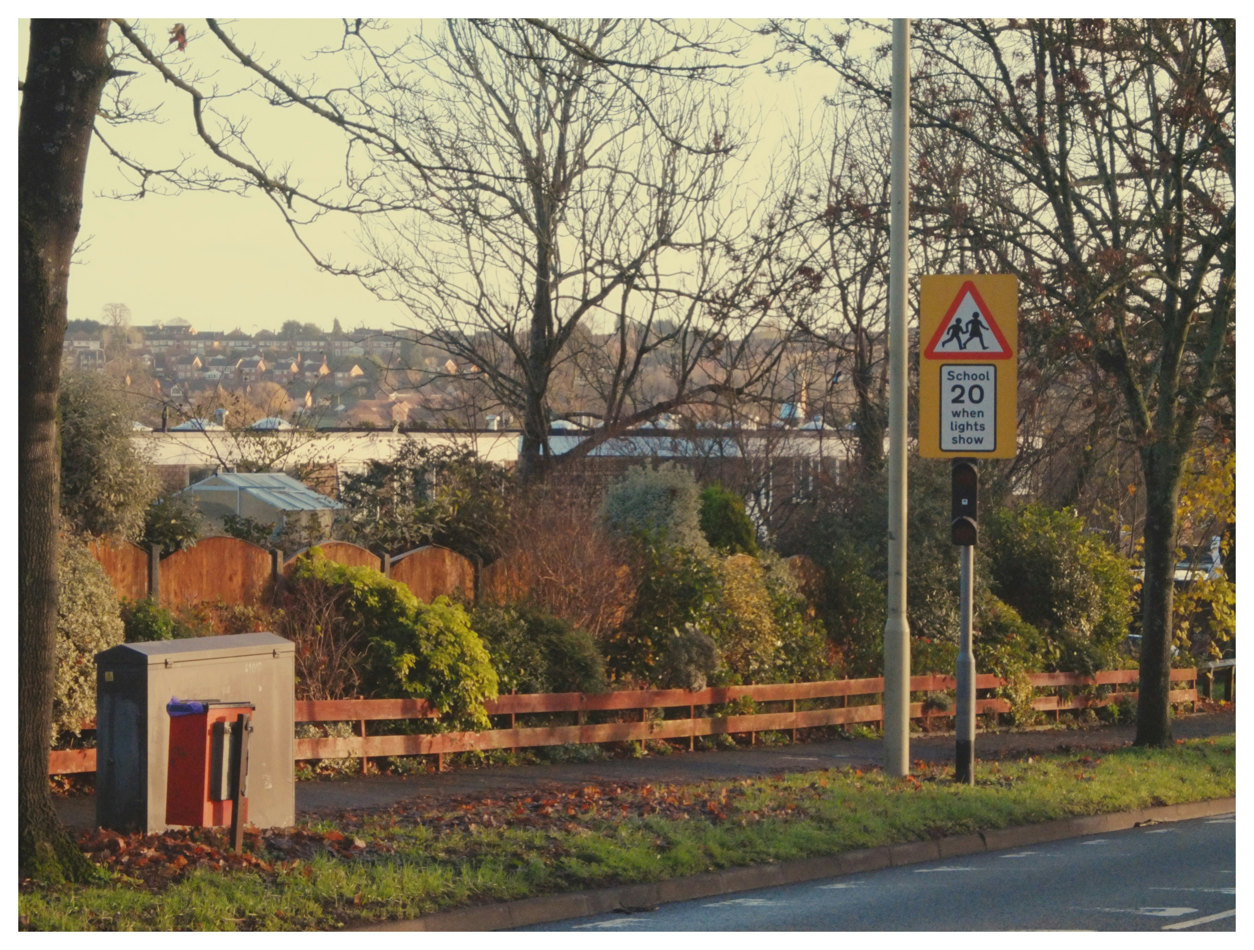 Photo by francoalani