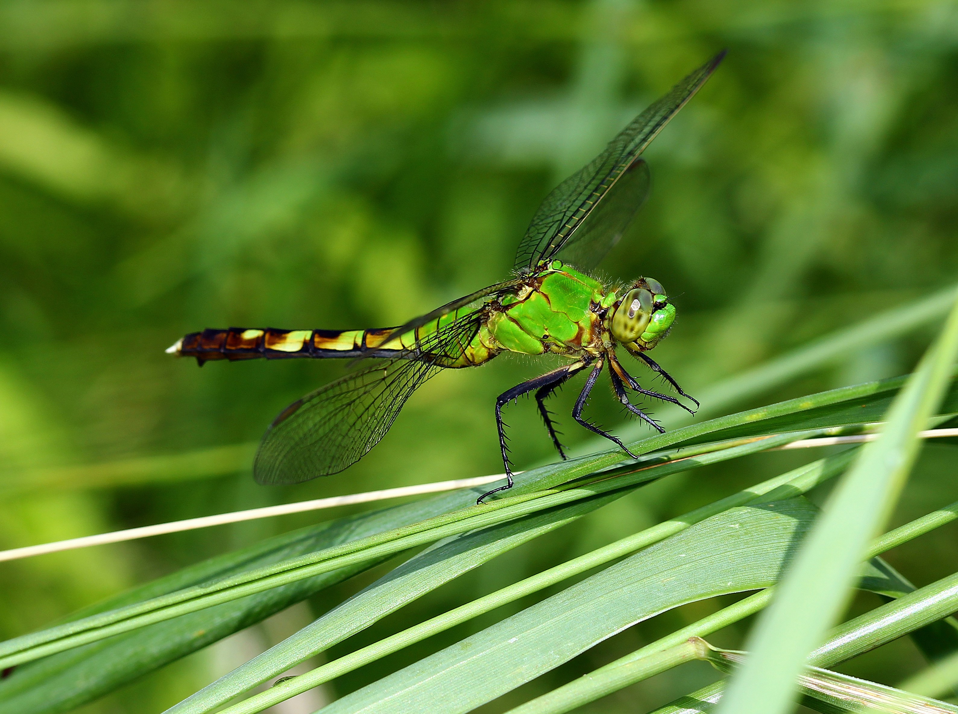 Photo by telliottmbamsc