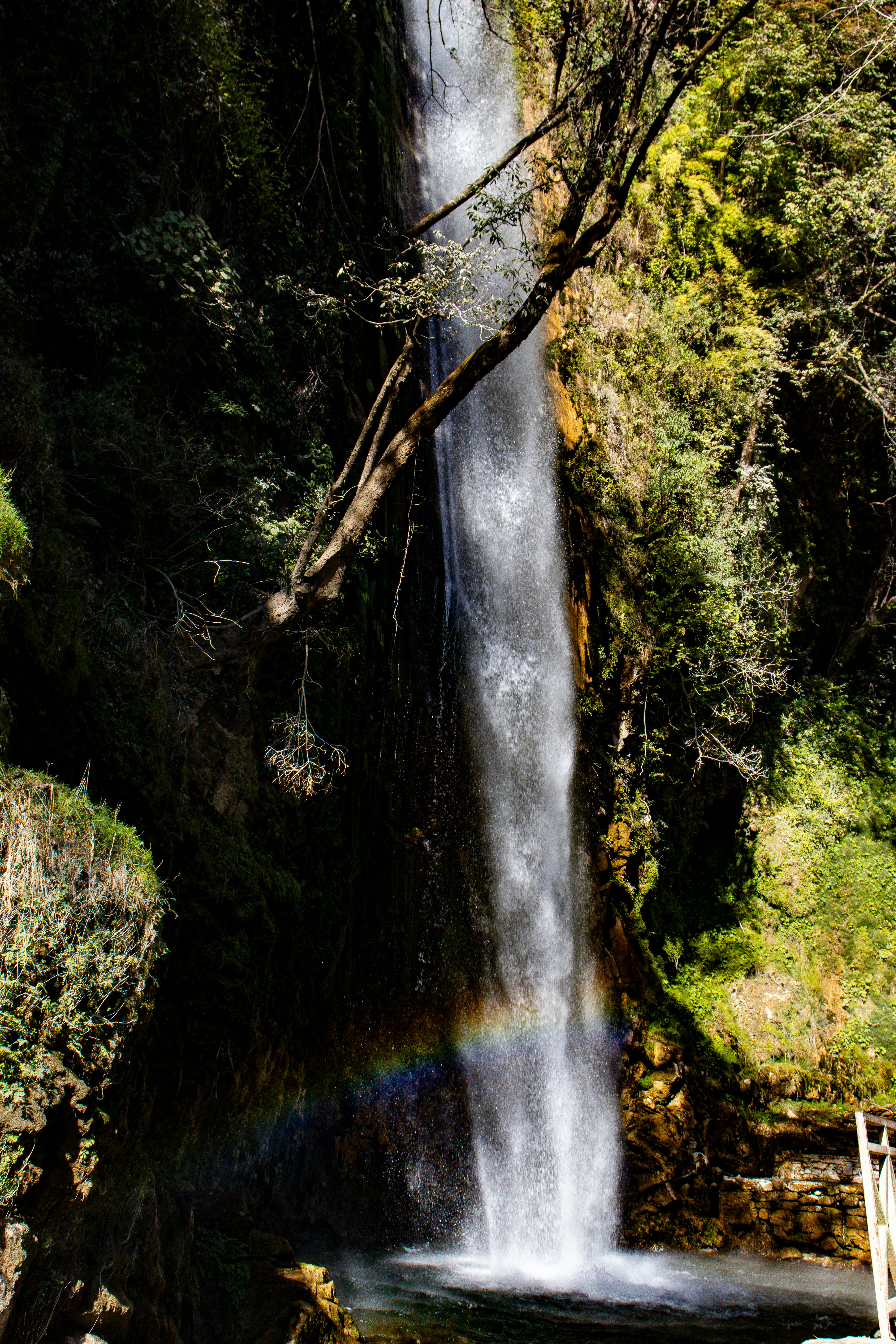 Photo by akshat_jhingran