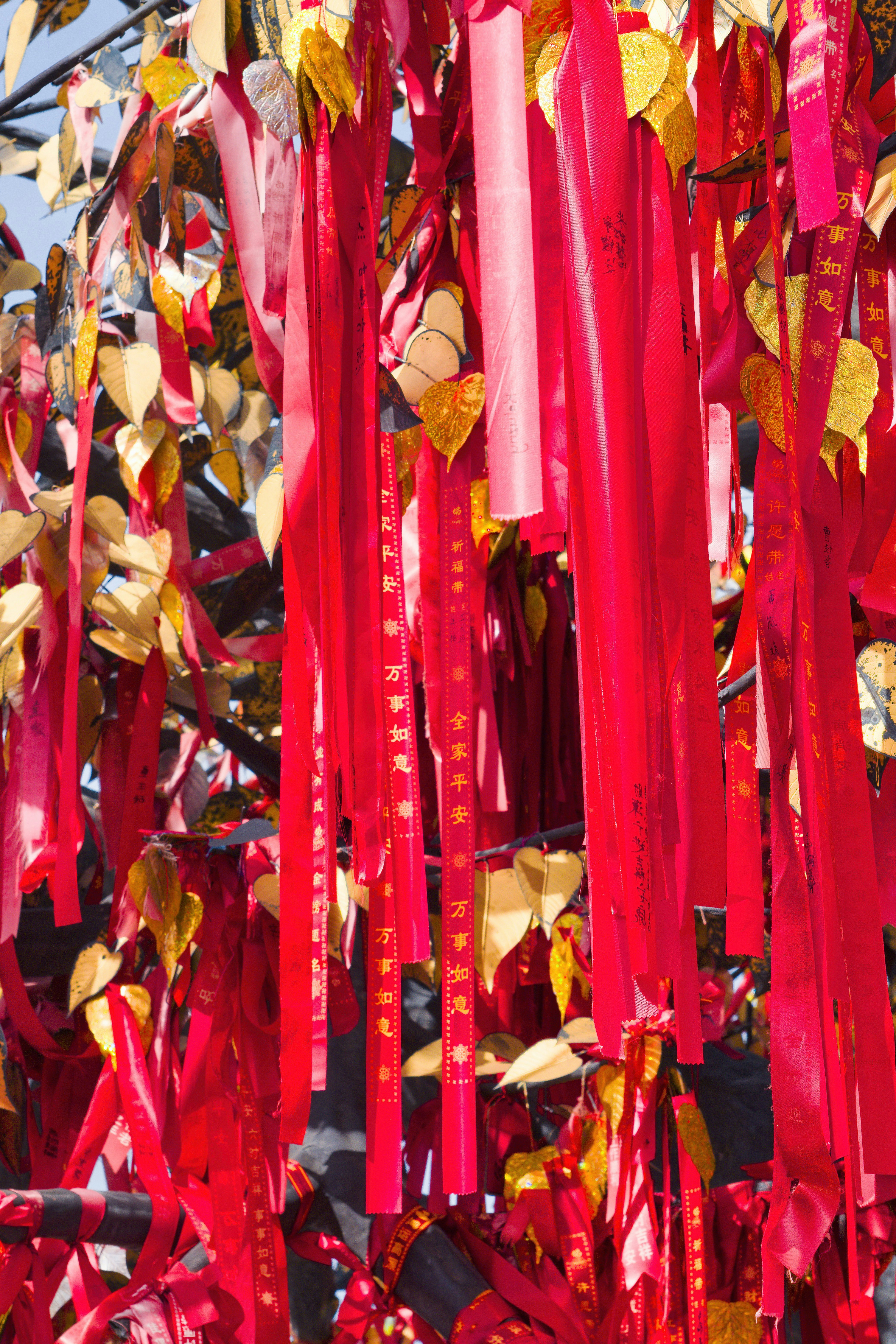 Red ribbons and golden leaves on a tree